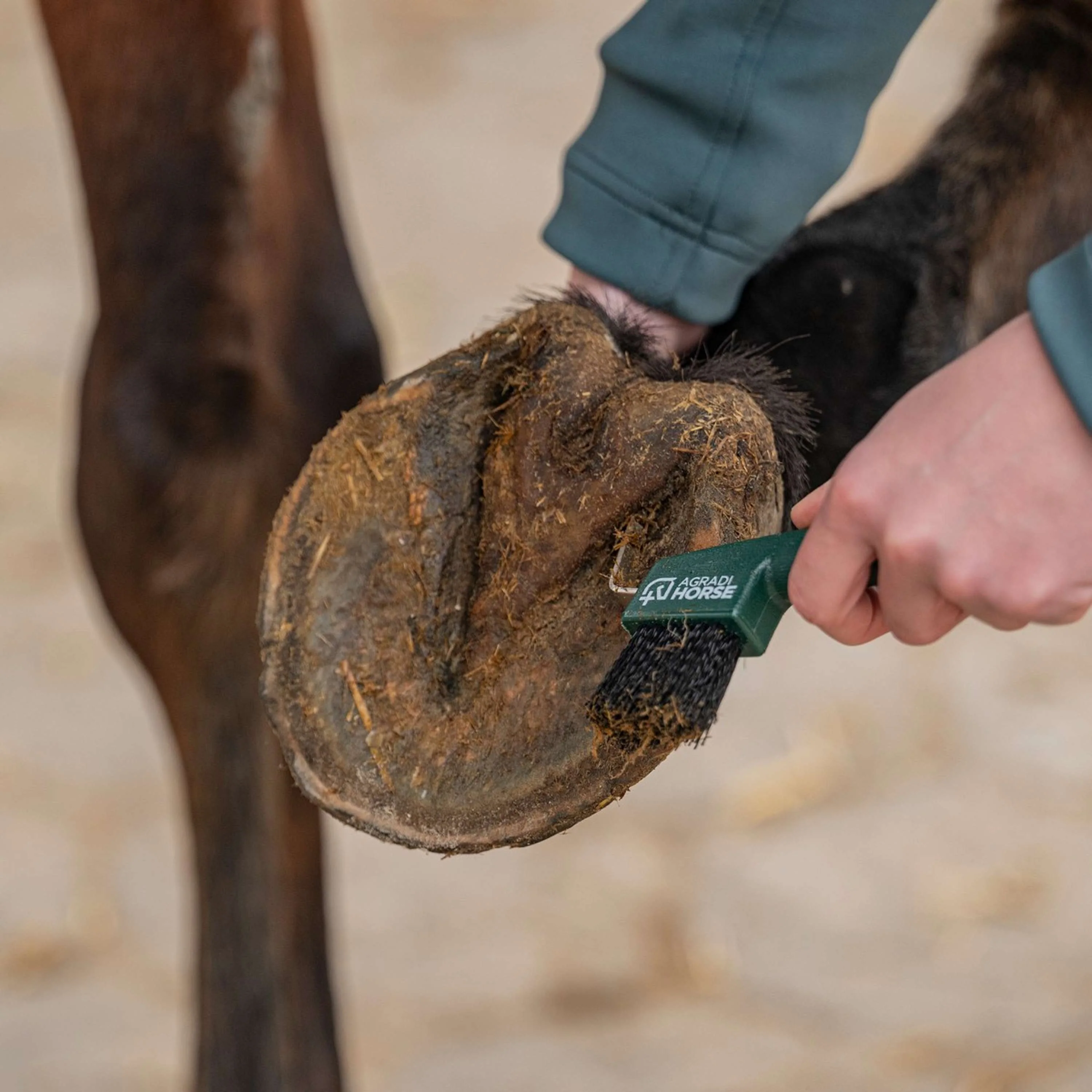 Agradi Horse Netta unghie Fir Green - Image 3