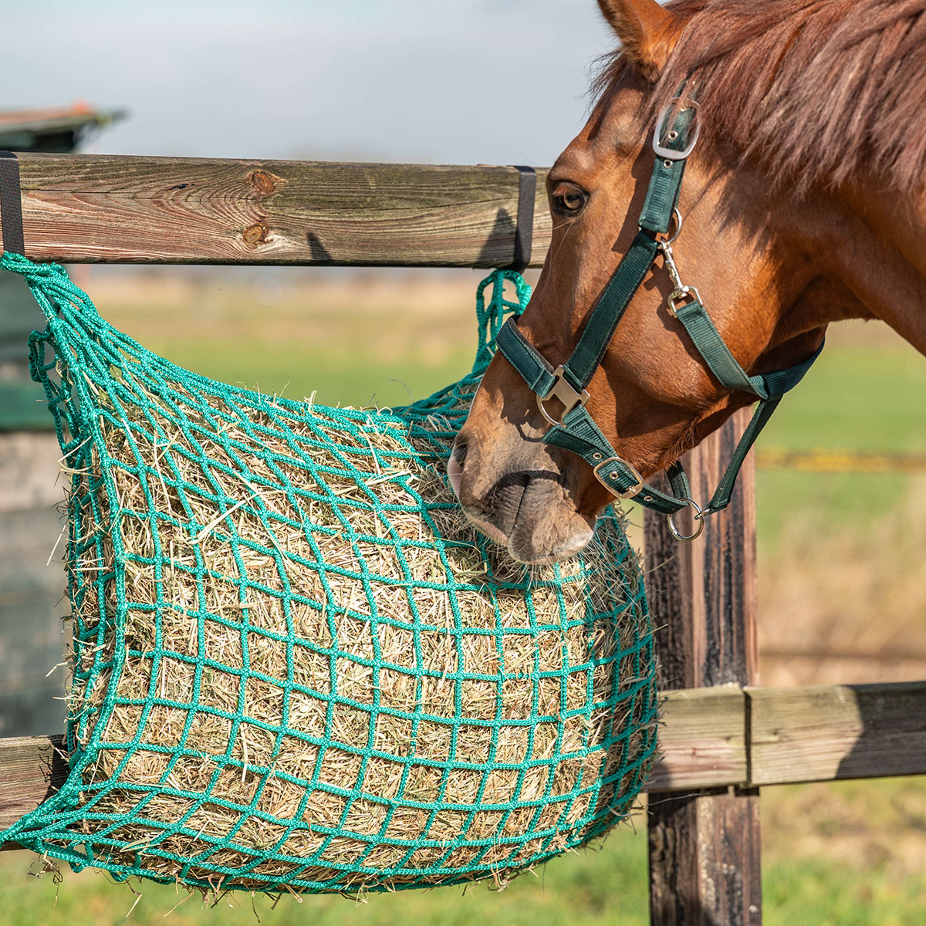 Agradi Horse Rete da Fieno Flexi Strong Maglia 4,5x4,5cm Verde - Image 8