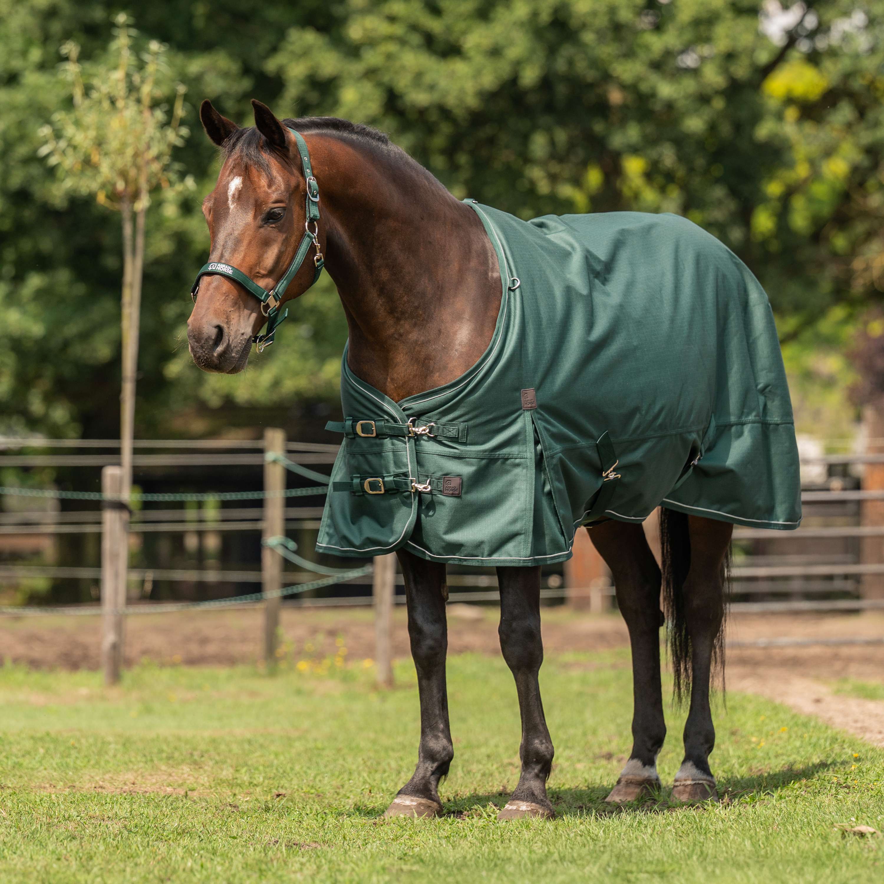 Agradi Horse Tappeto da Esterno 1200D 0gr Bordo Riflettente Verde