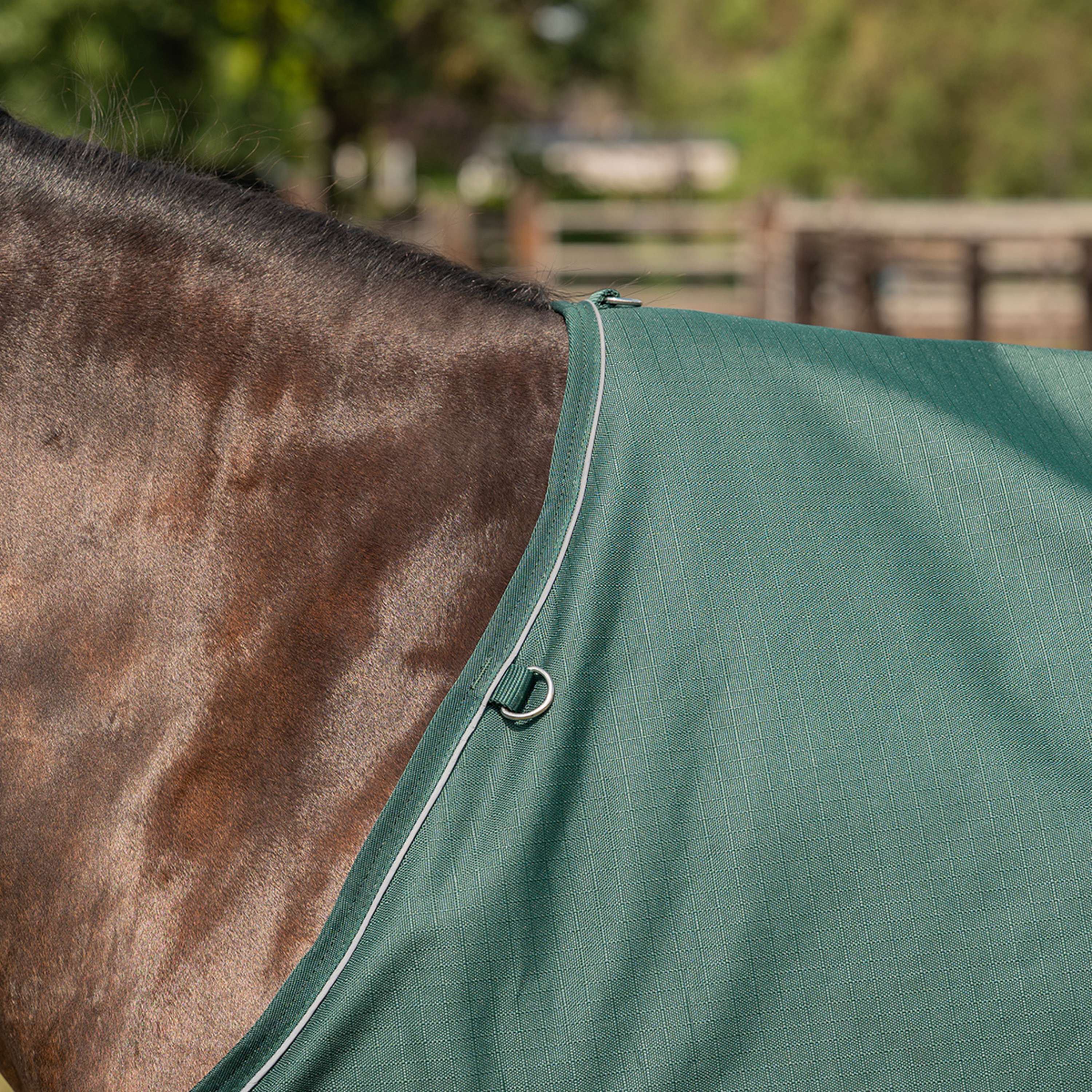 Agradi Horse Tappeto da Esterno 1200D 0gr Bordo Riflettente Verde - Image 4