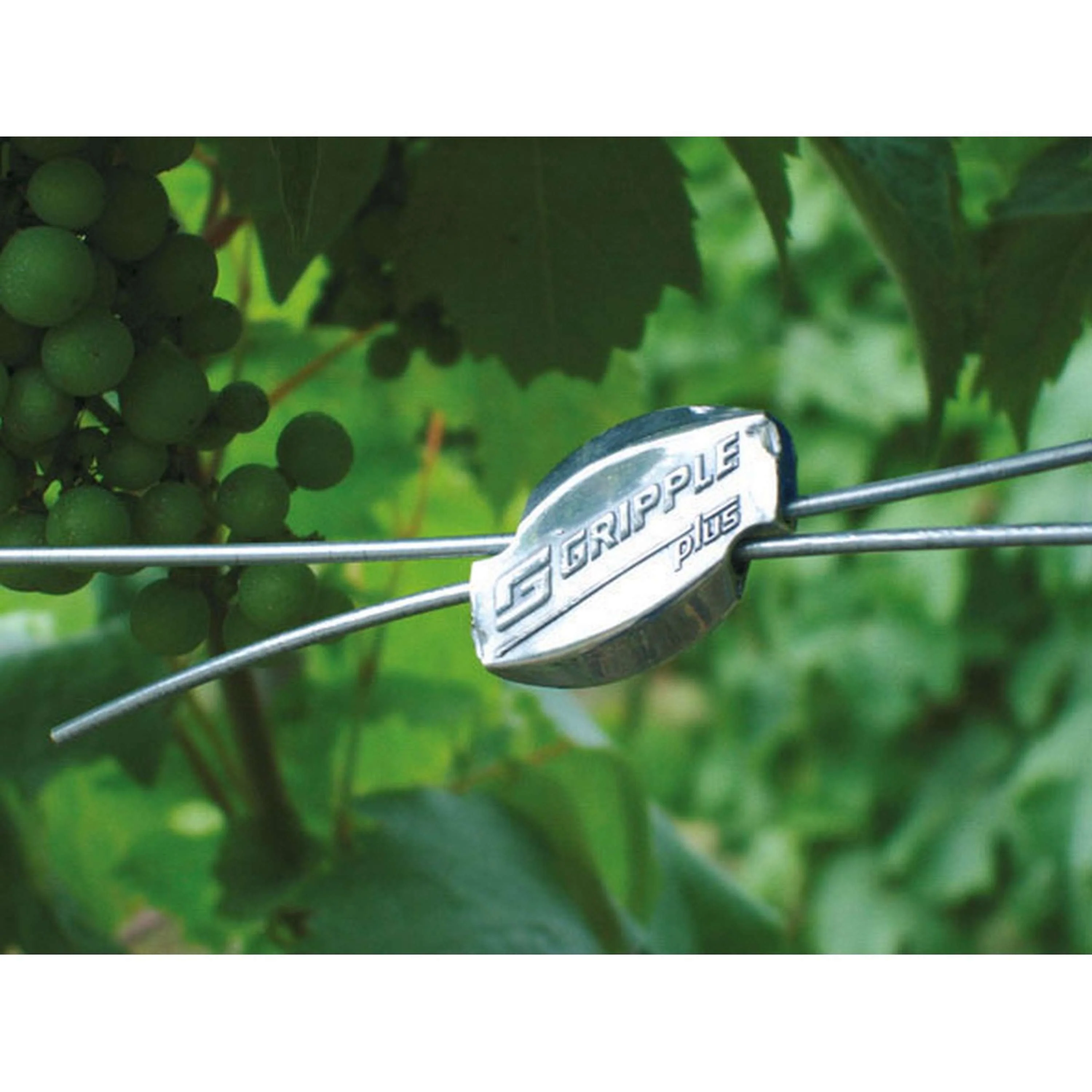 Ako Connettore per filo Gripple 20st - Image 4