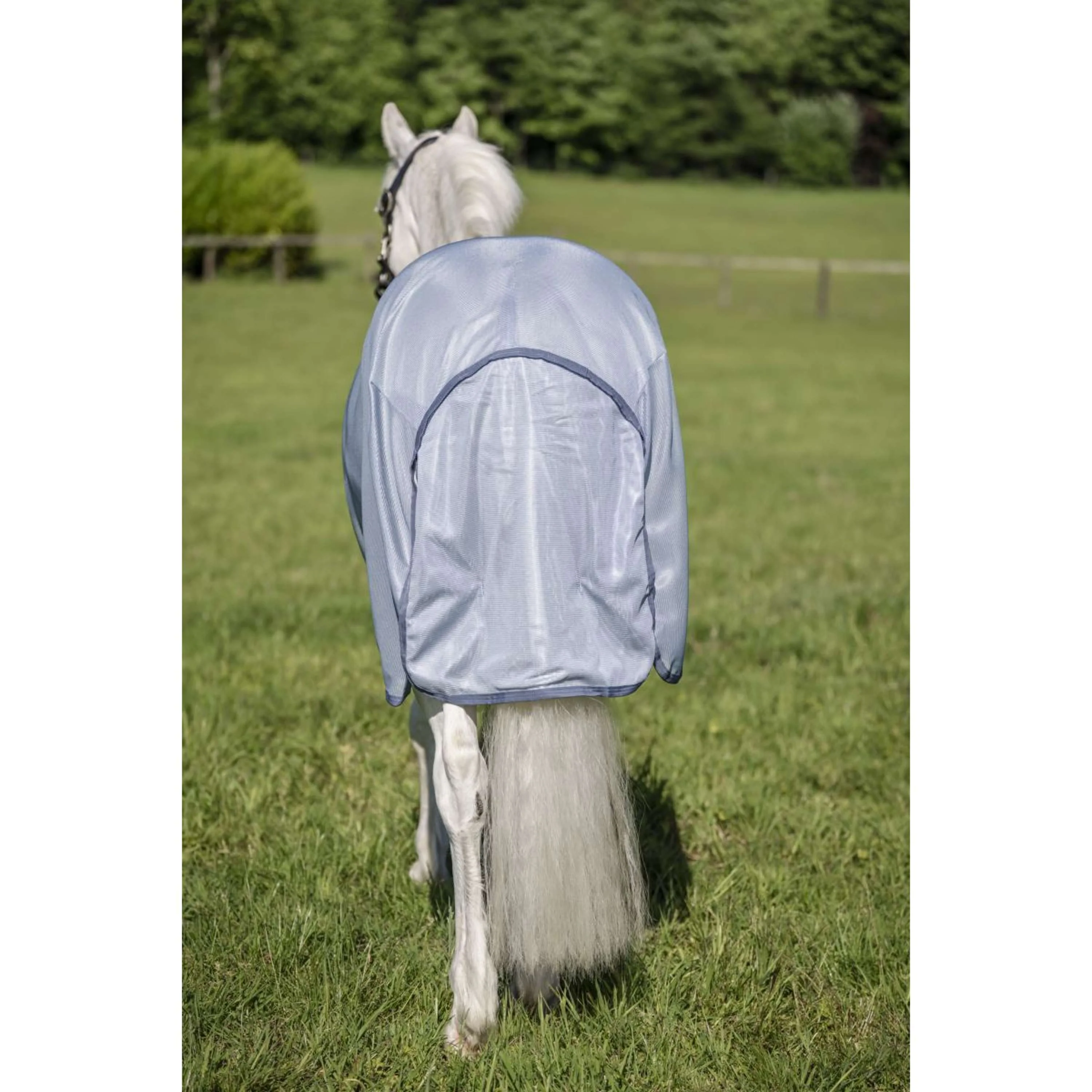 Amigo Bug Rug Plus Pony Heather Blue/Blue/Silver - Image 6