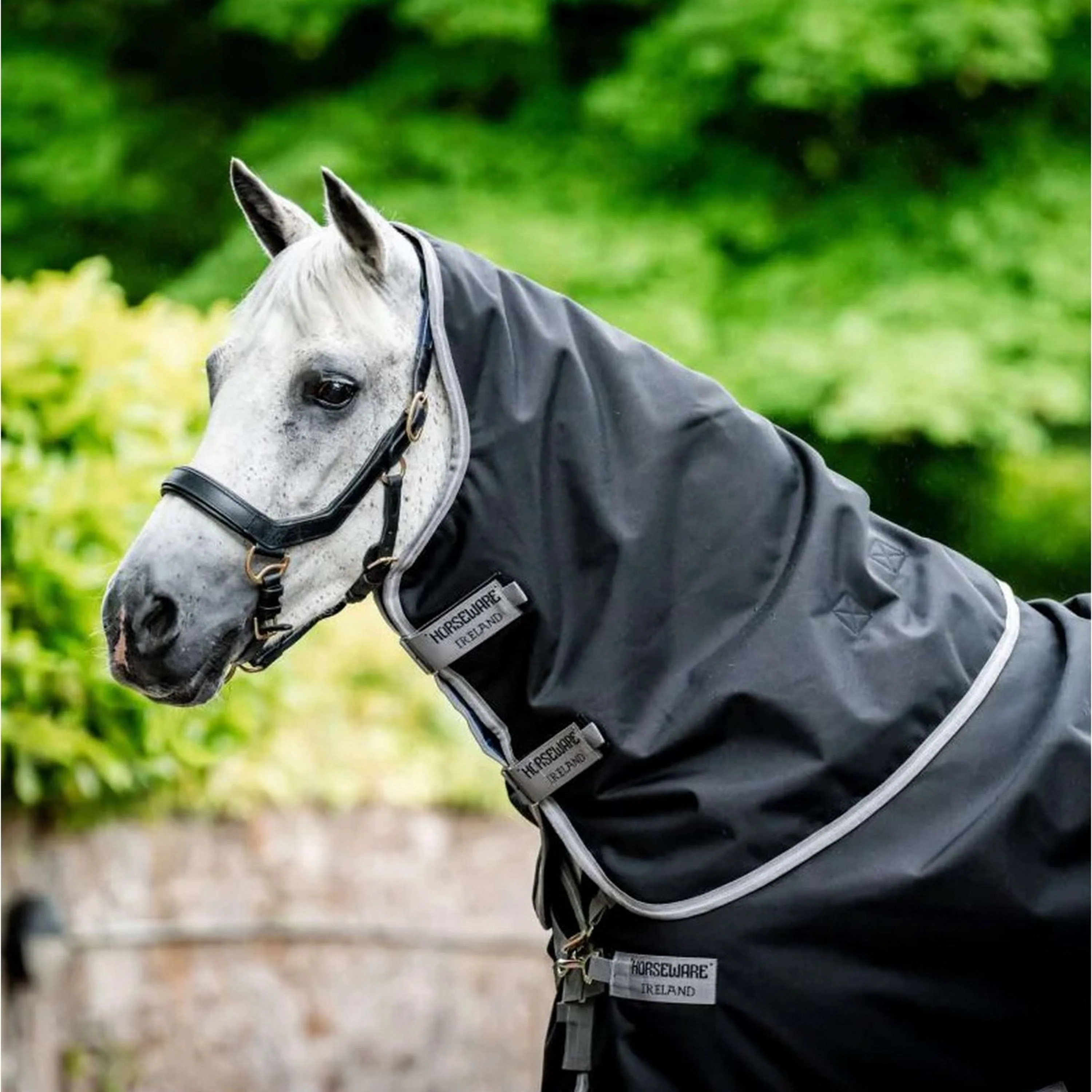Amigo Bravo 12 Plus Turnout Heavy 400g Black/Titanium Grey - Image 5