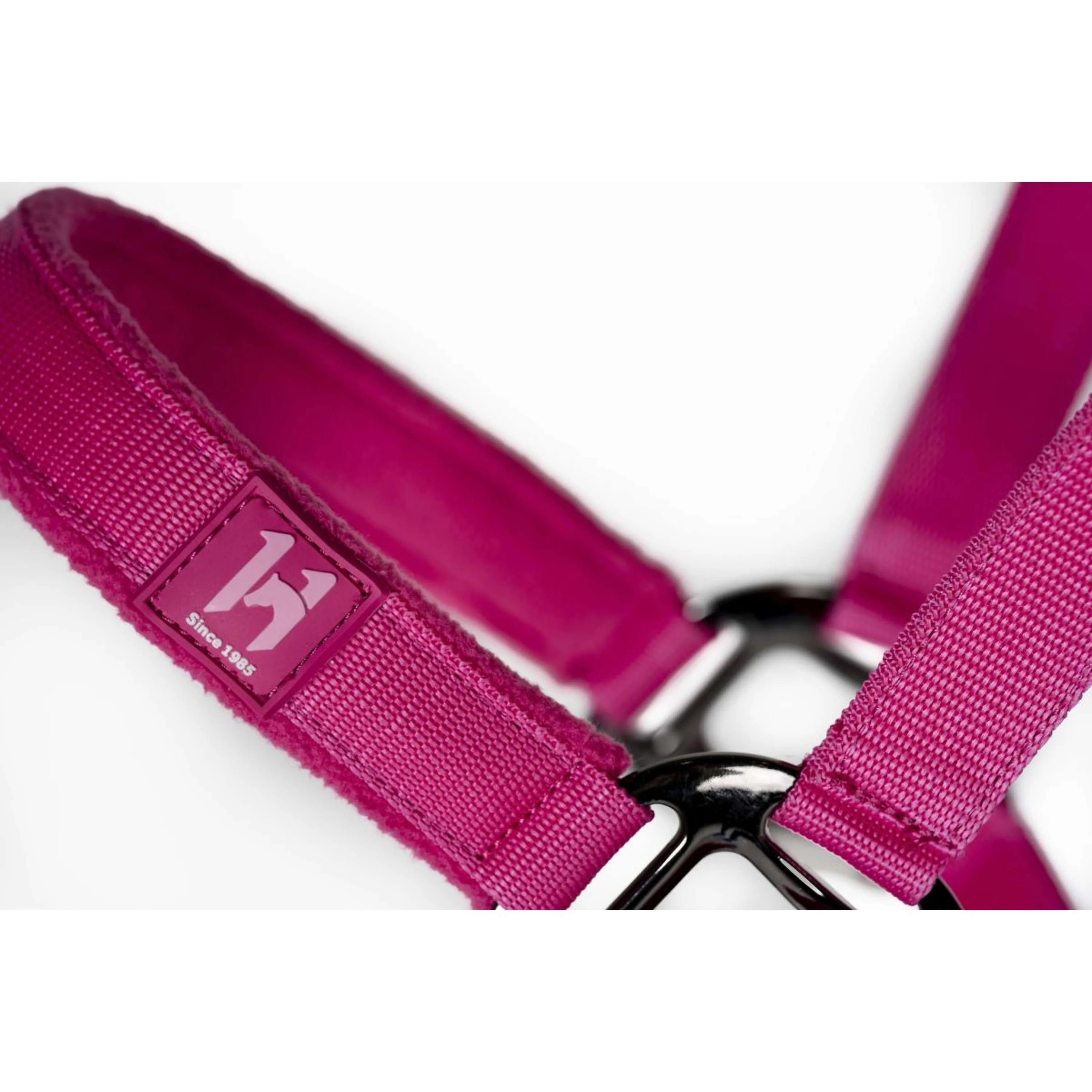 Amigo Cavezza e corda Newmarket Witney Pink - Image 4