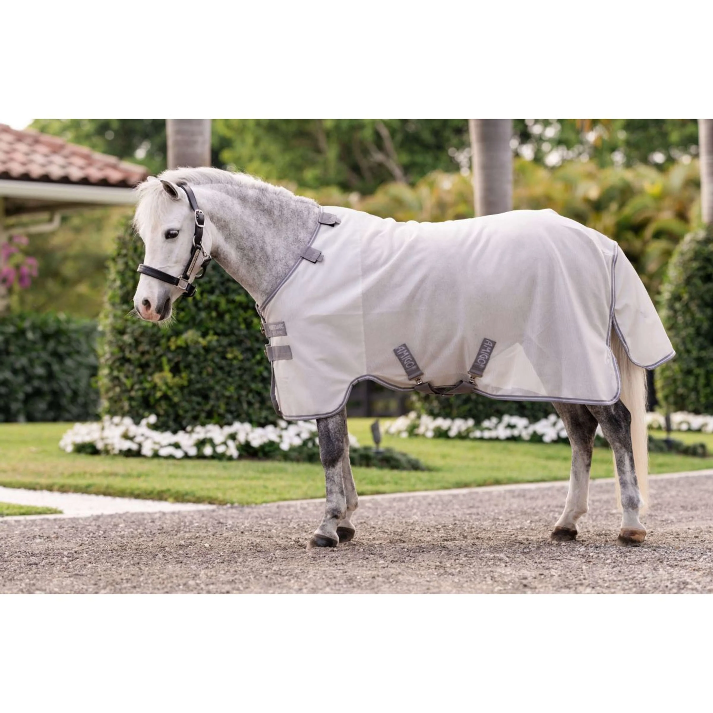 Amigo Bug Rug Plus Pony Argento/Grigio Titanio/Argento - Image 2