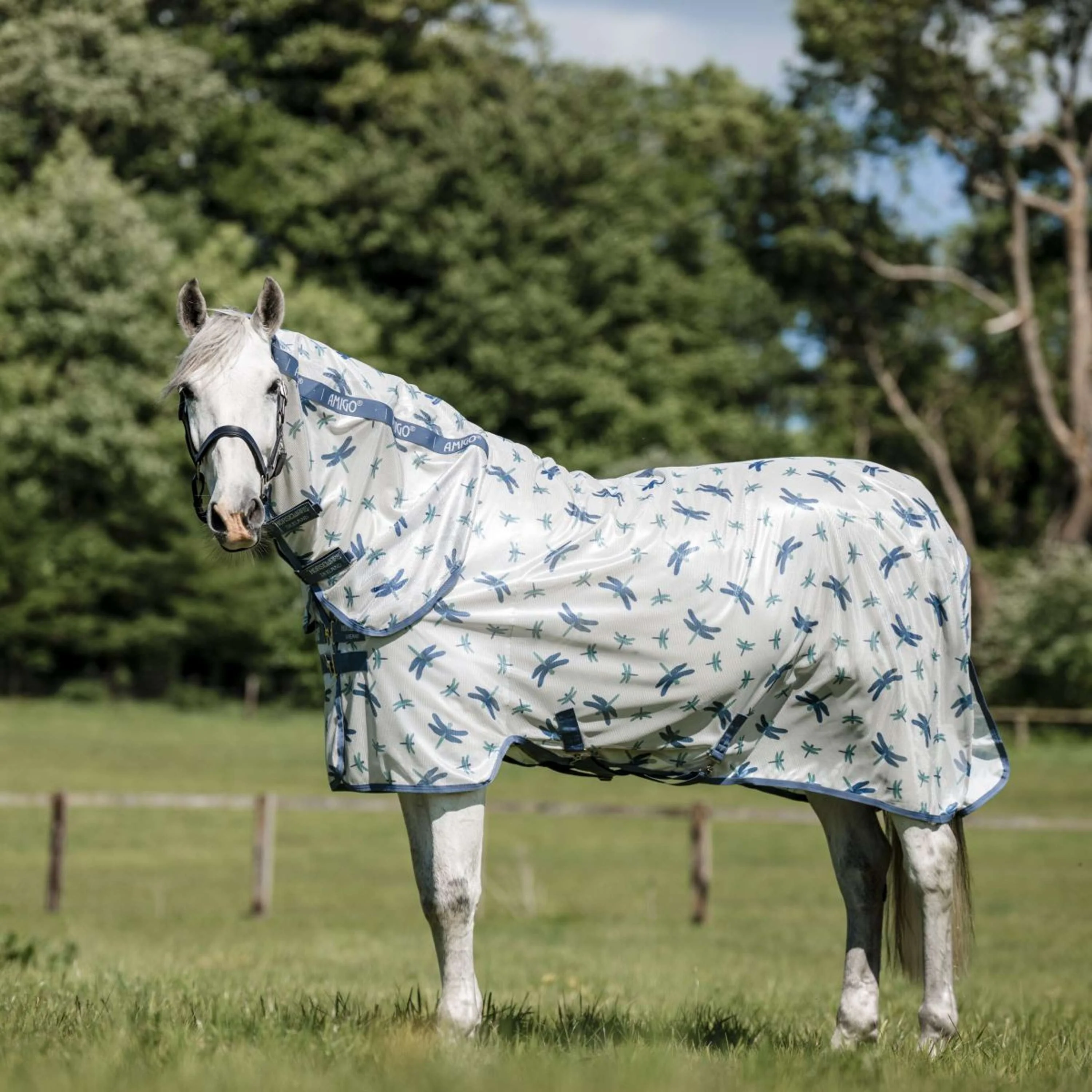 Amigo Coperta Antimosche Integrated Dragonfly Print/Silver/Blue/Sage - Image 3