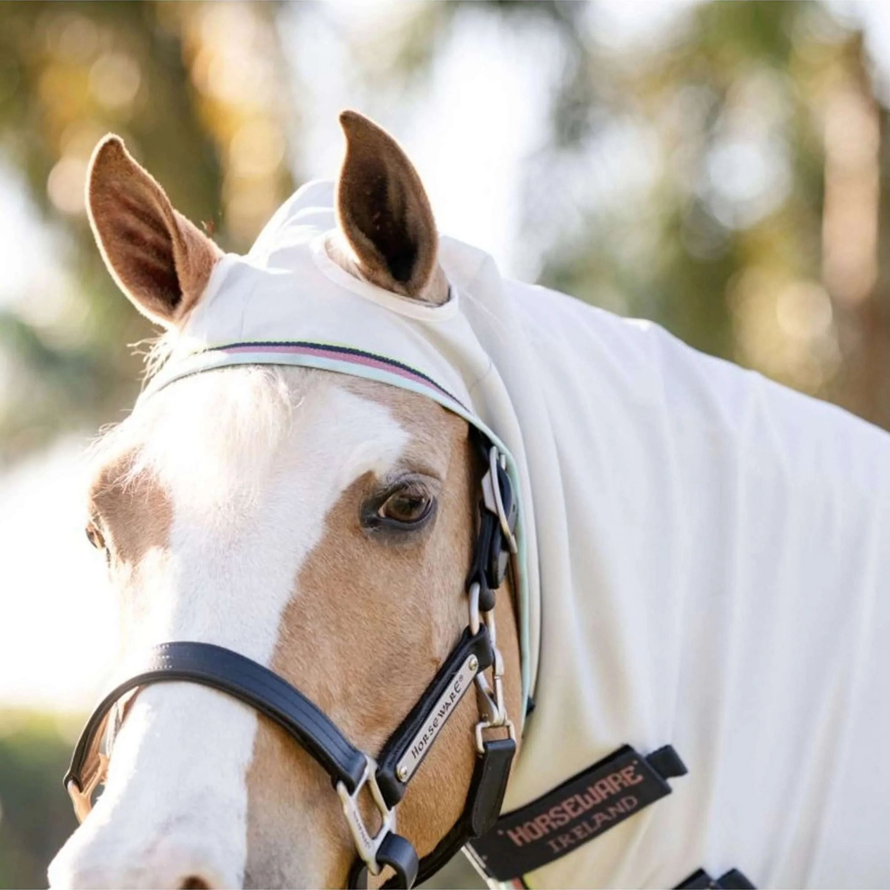 Amigo Felpa con cappuccio Ripstop Pony Argento/Lime/Blu marino/Rosa/Blu - Image 2