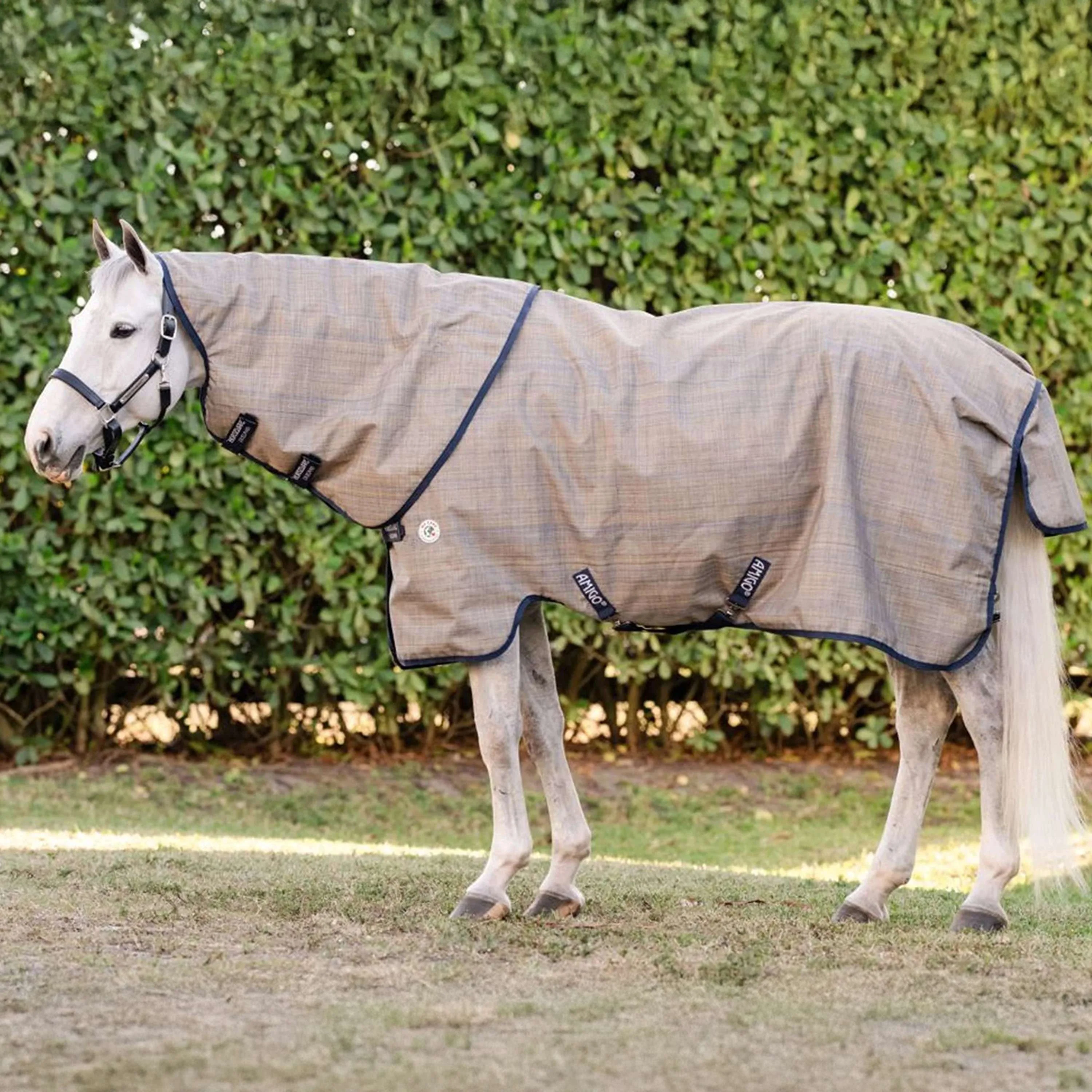 Amigo Turnout 900D Revive Plus 50g - Image 4