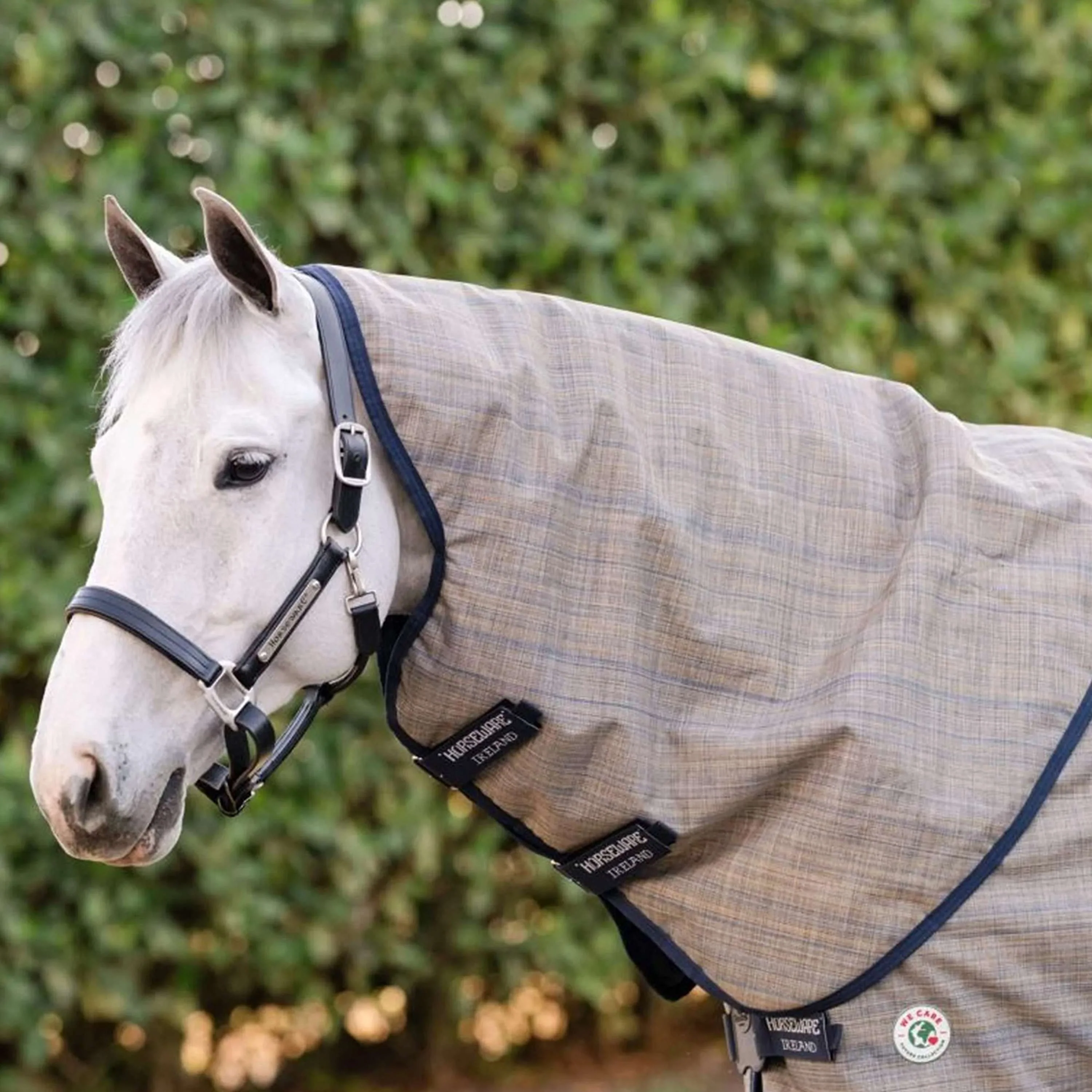 Amigo Turnout 900D Revive Plus 50g - Image 5
