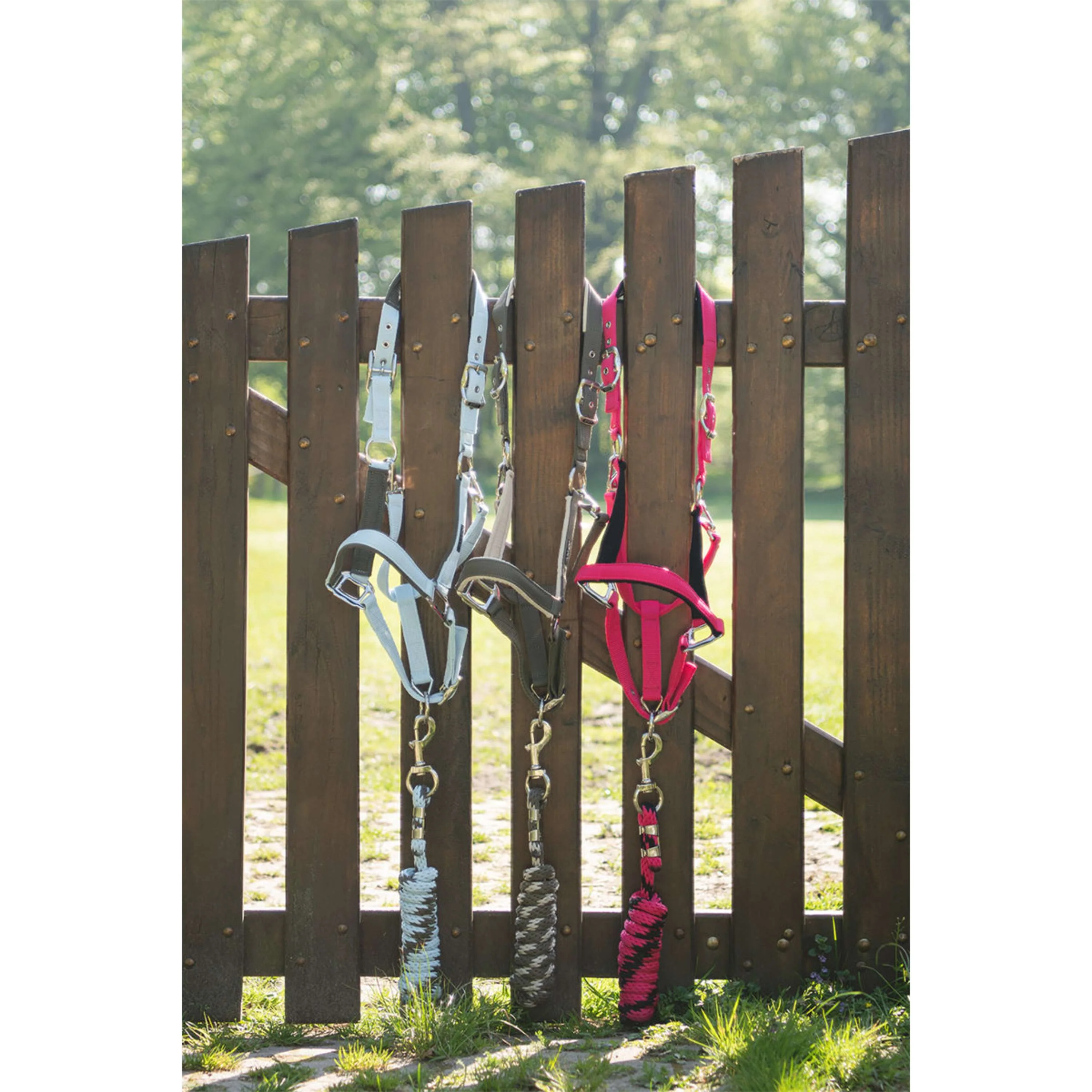 ANKY Set Cavezza ATH261001 Bungee Cord - Image 3