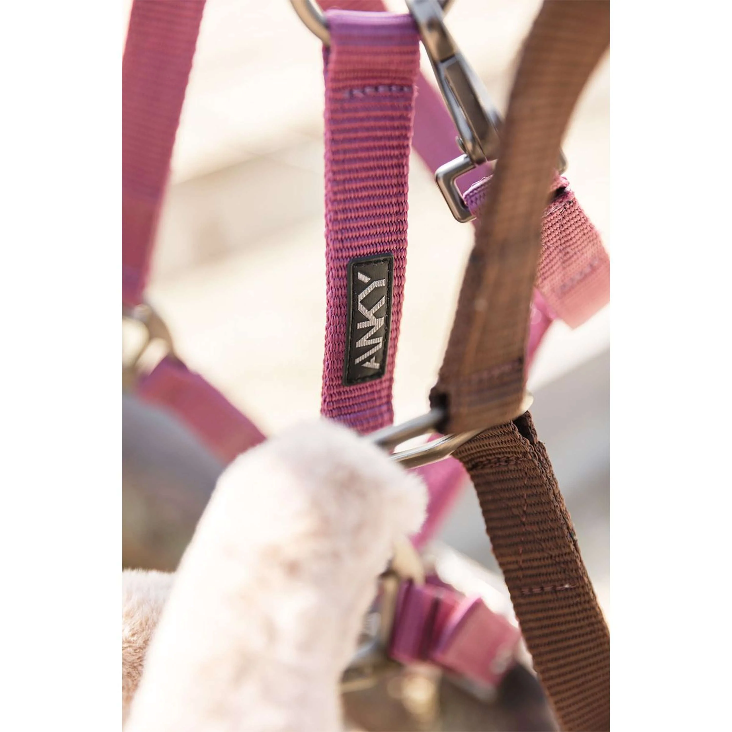 ANKY Set Cavezza Check Velvet ATH25002 Mellow Mauve - Image 3