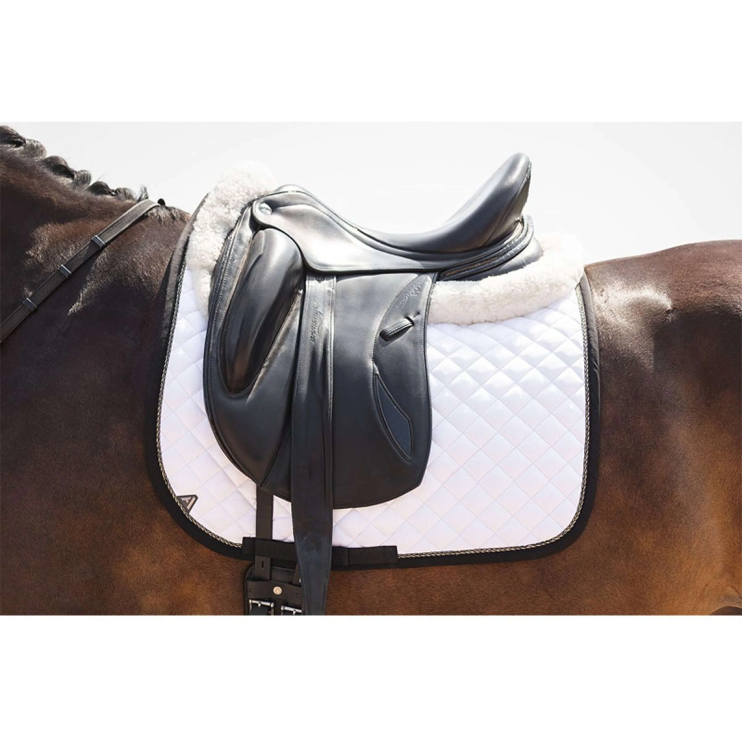 ANKY Sottosella Presence XB25005 Dressage Bianco/Nero - Image 6