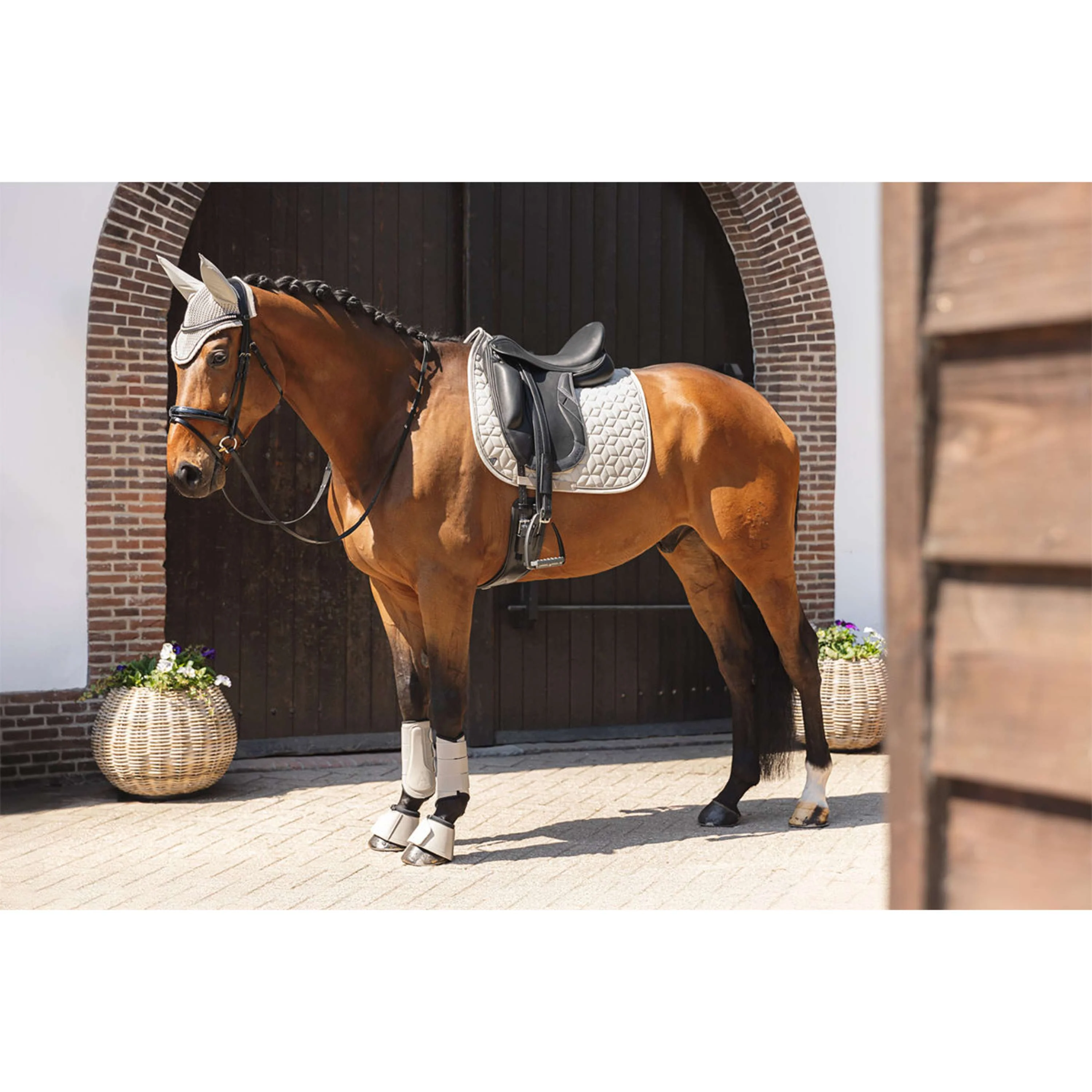 ANKY Stivali da dressage Proficient ATB261001 Island Fossil - Image 8