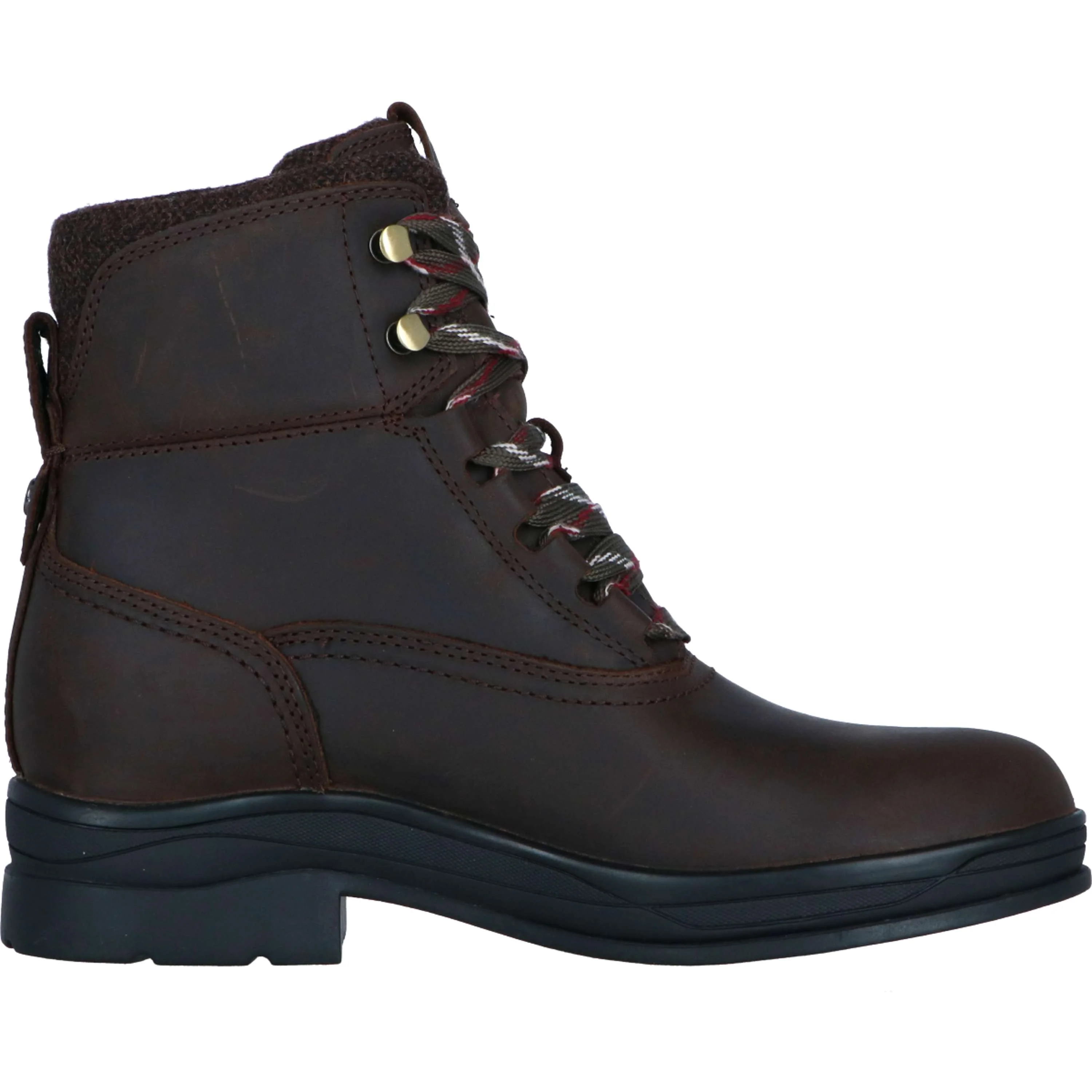 Ariat Stivali da Scuderia Harper Waterproof Donne Chocolat/Willow - Image 5