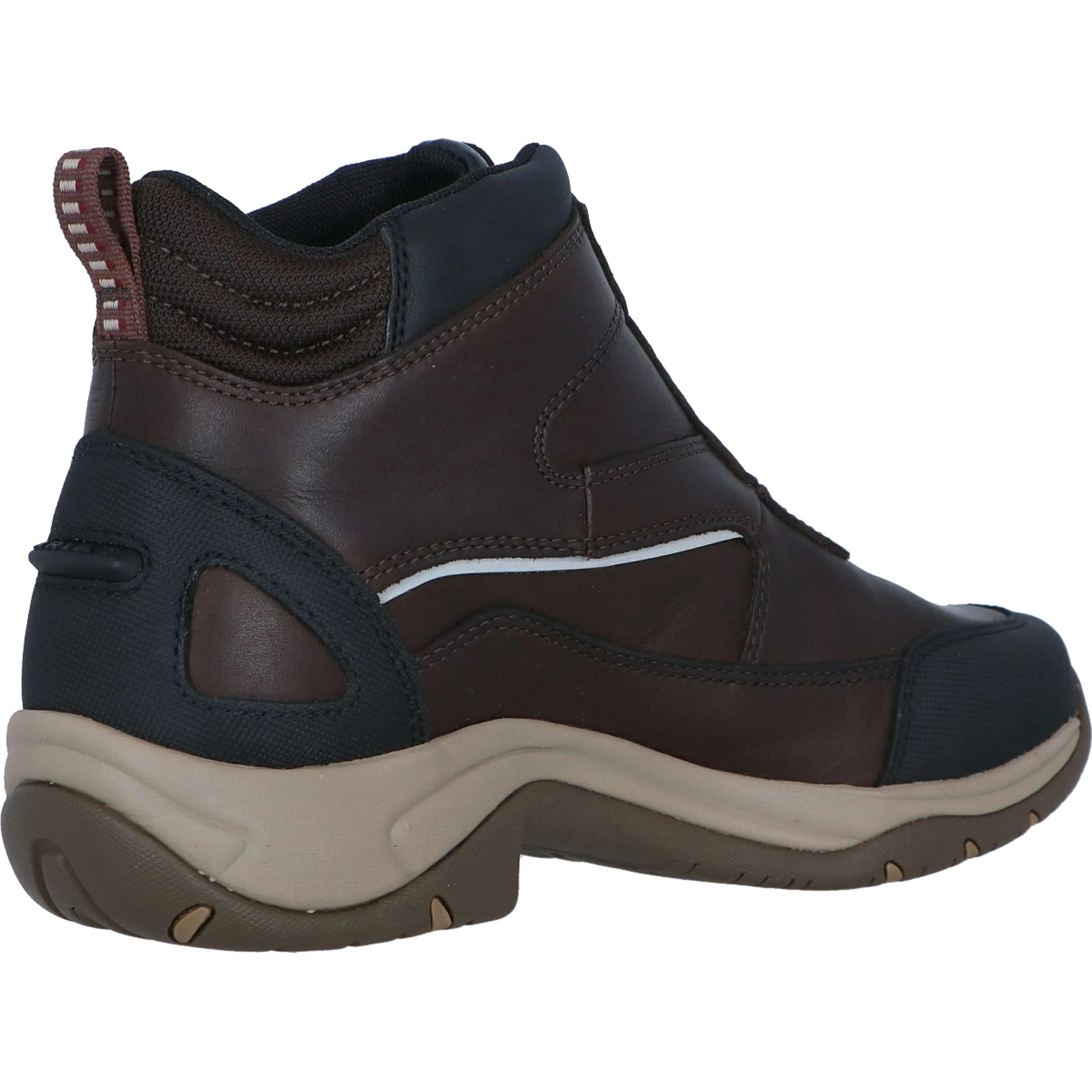 Ariat Stivali da Scuderia Telluride Zip H2O Woman's Marrone scuro - Image 5