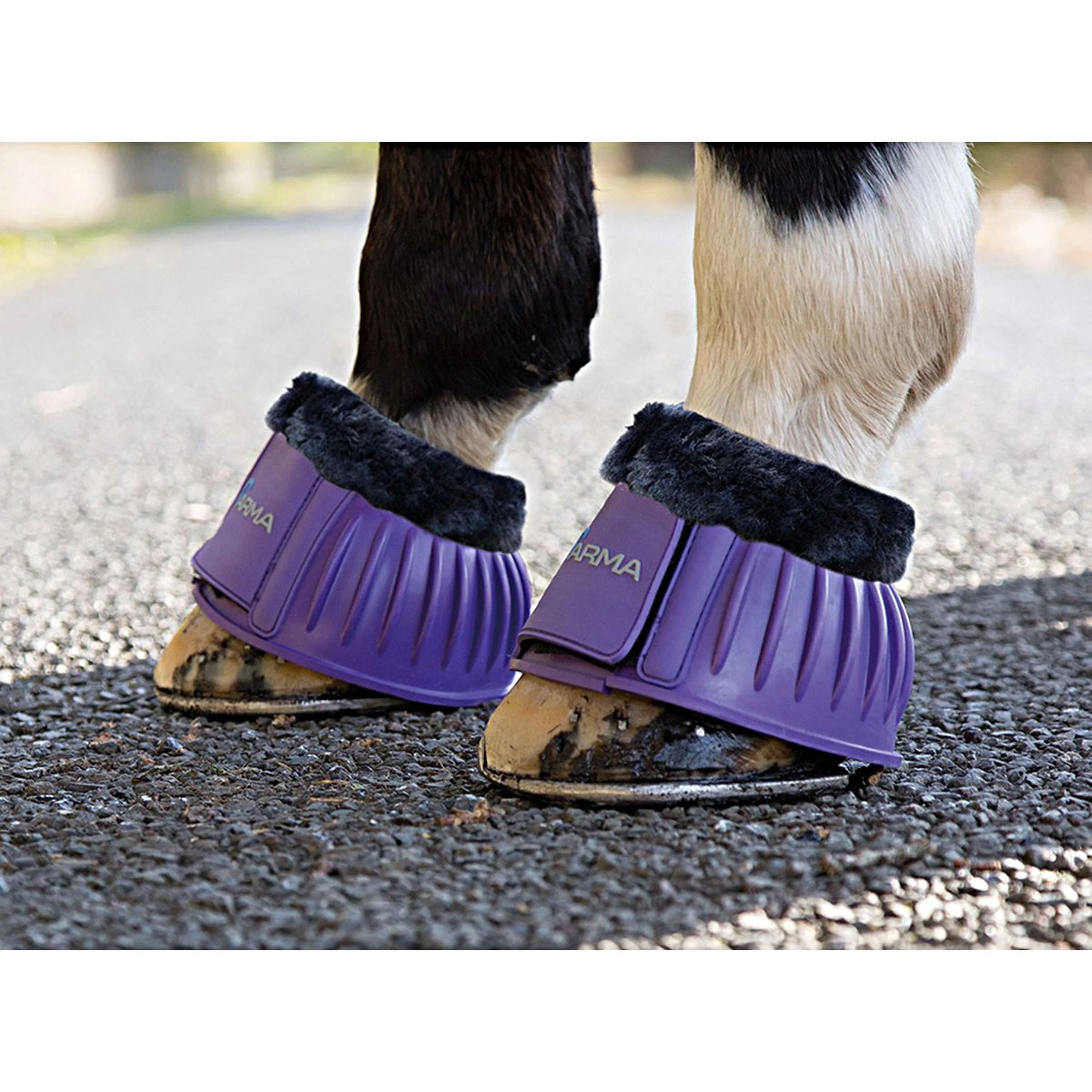 Arma by Shires Stinco di Cavallo Viola - Image 4