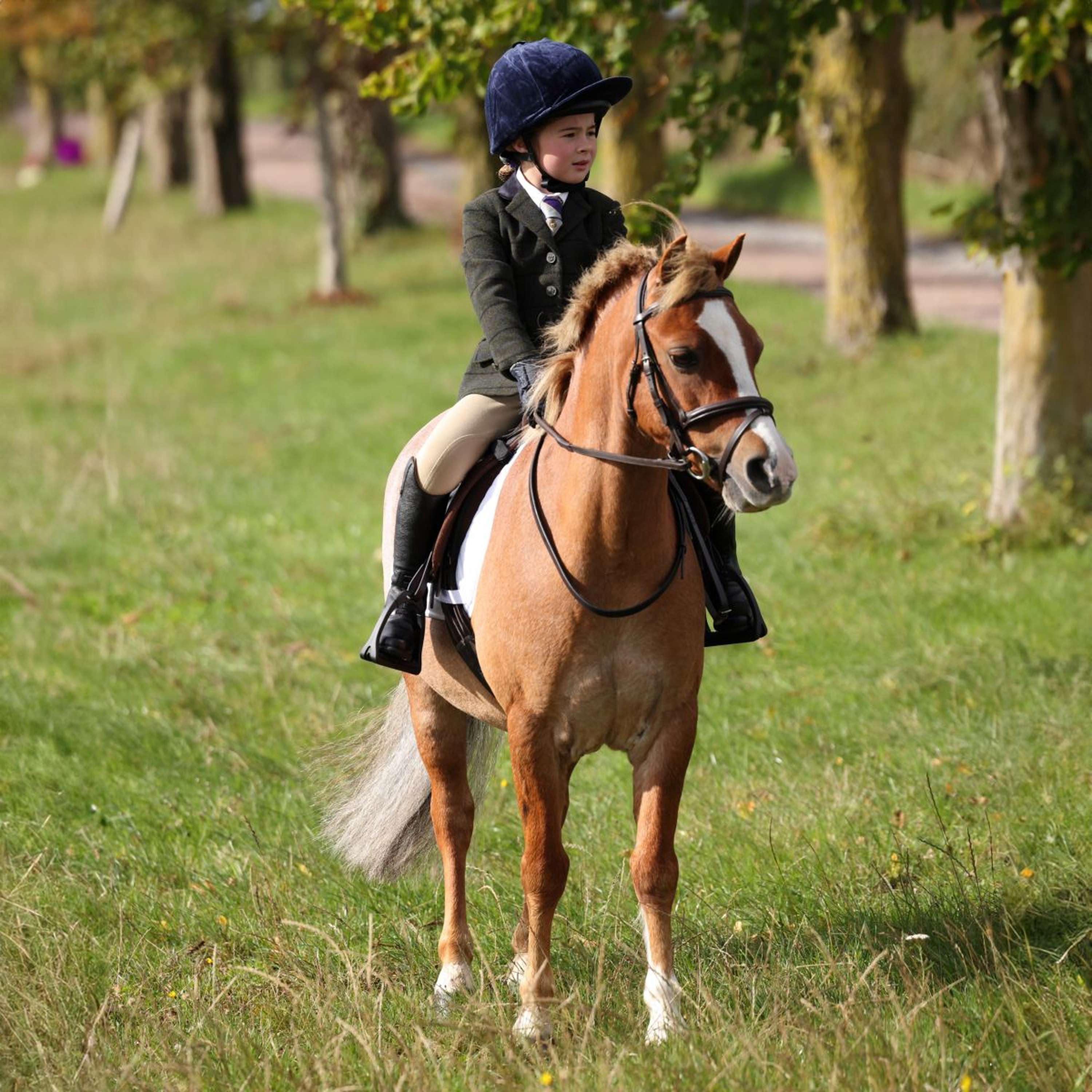Aubrion by Shires Giacca da Competizione Saratoga Bambini Verde Scuro Check - Image 9