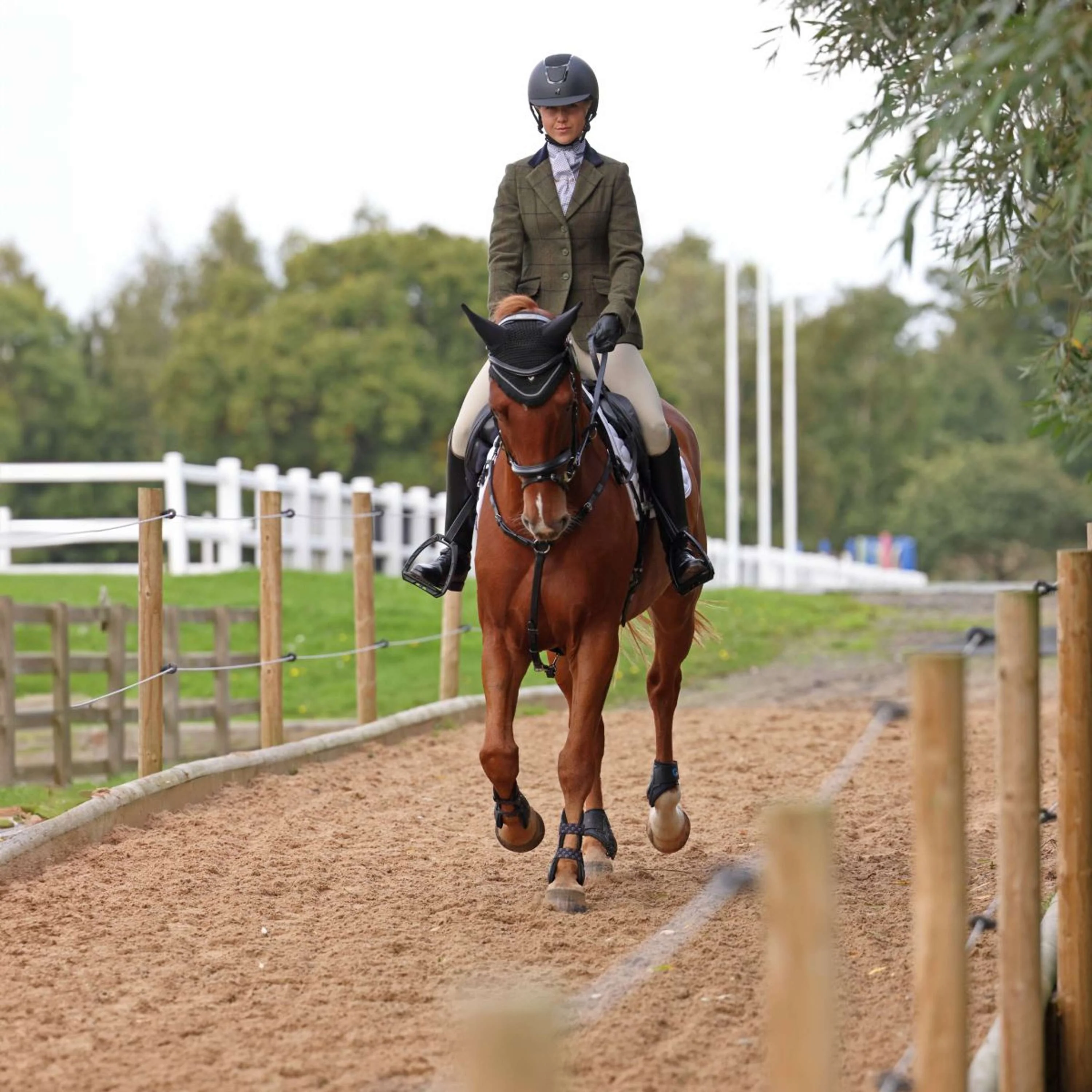 Aubrion by Shires Giacca da Competizione Saratoga Spruce Verde Check - Image 2