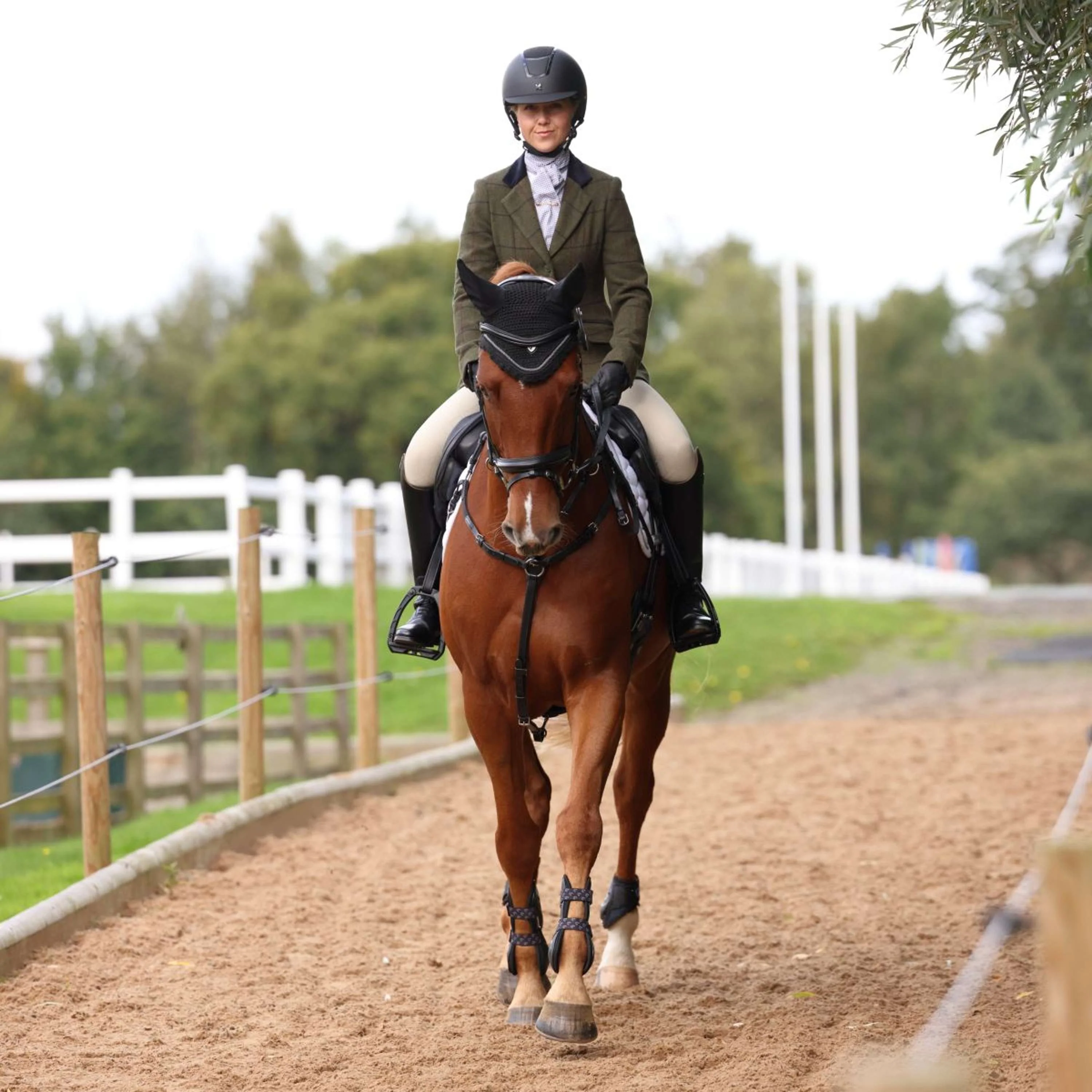Aubrion by Shires Giacca da Competizione Saratoga Spruce Verde Check - Image 6