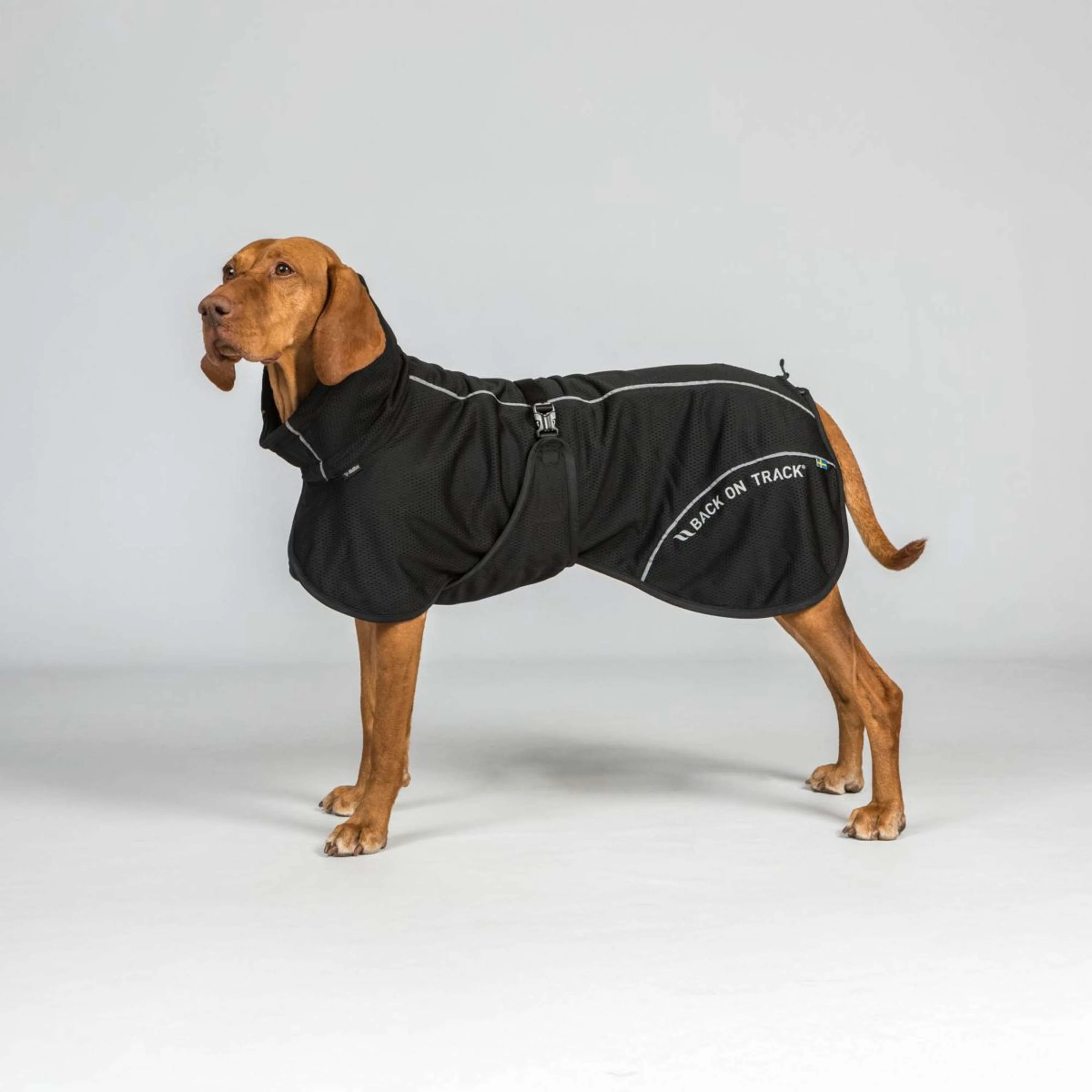 Back on Track Cappotto per Cane BAY Mesh Nero - Image 2