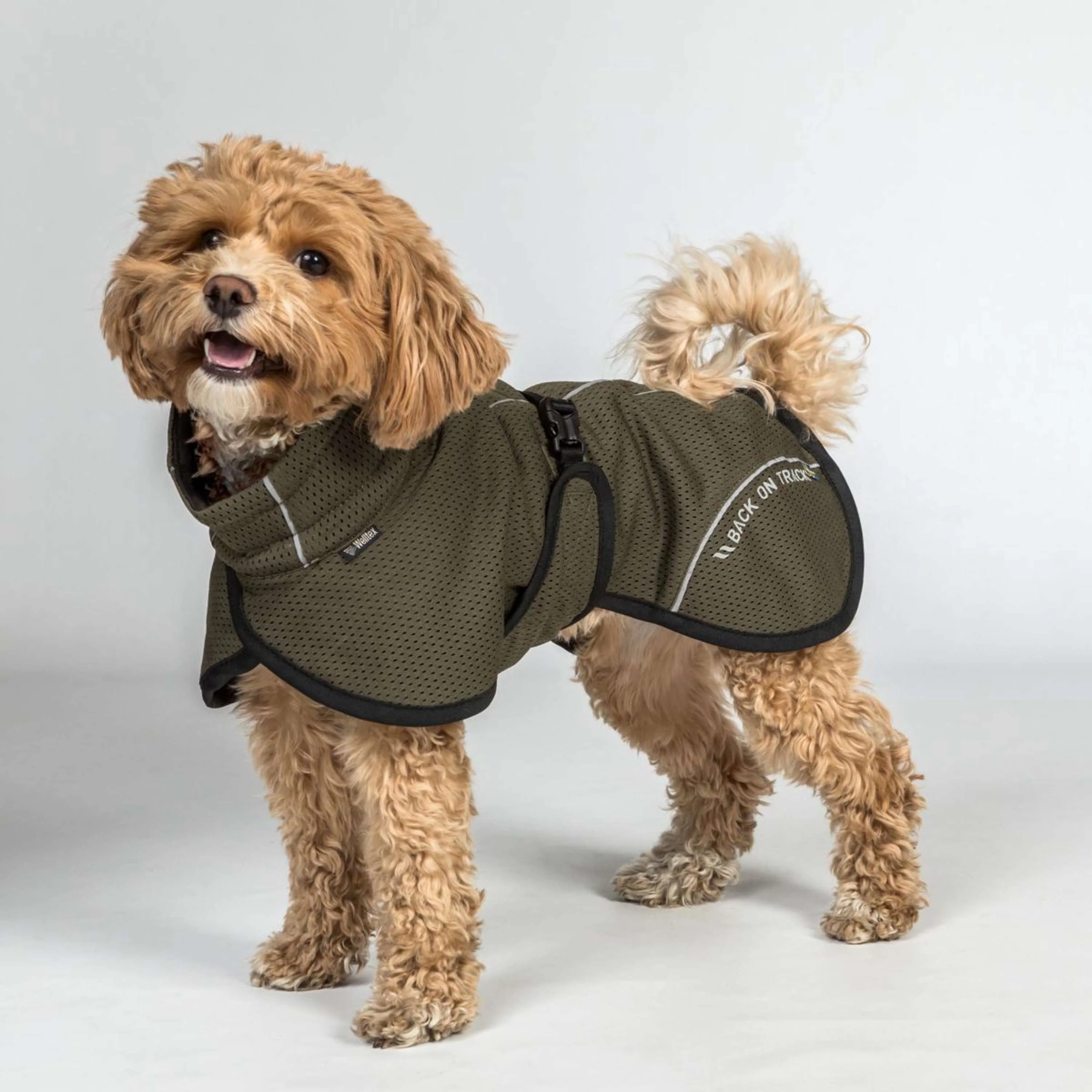 Back on Track Cappotto per Cane BAY Mesh Oliva - Image 2