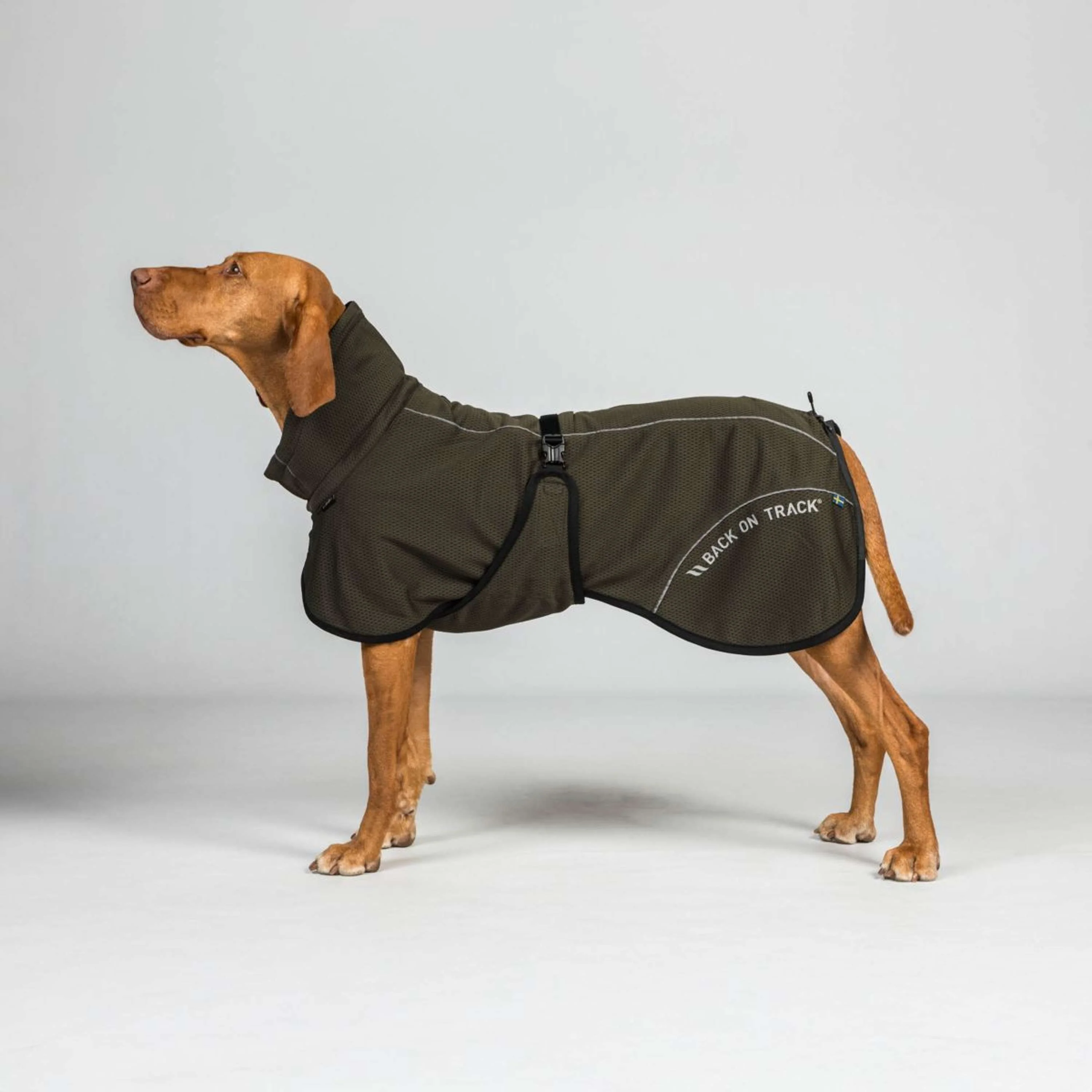Back on Track Cappotto per Cane BAY Mesh Oliva - Image 5