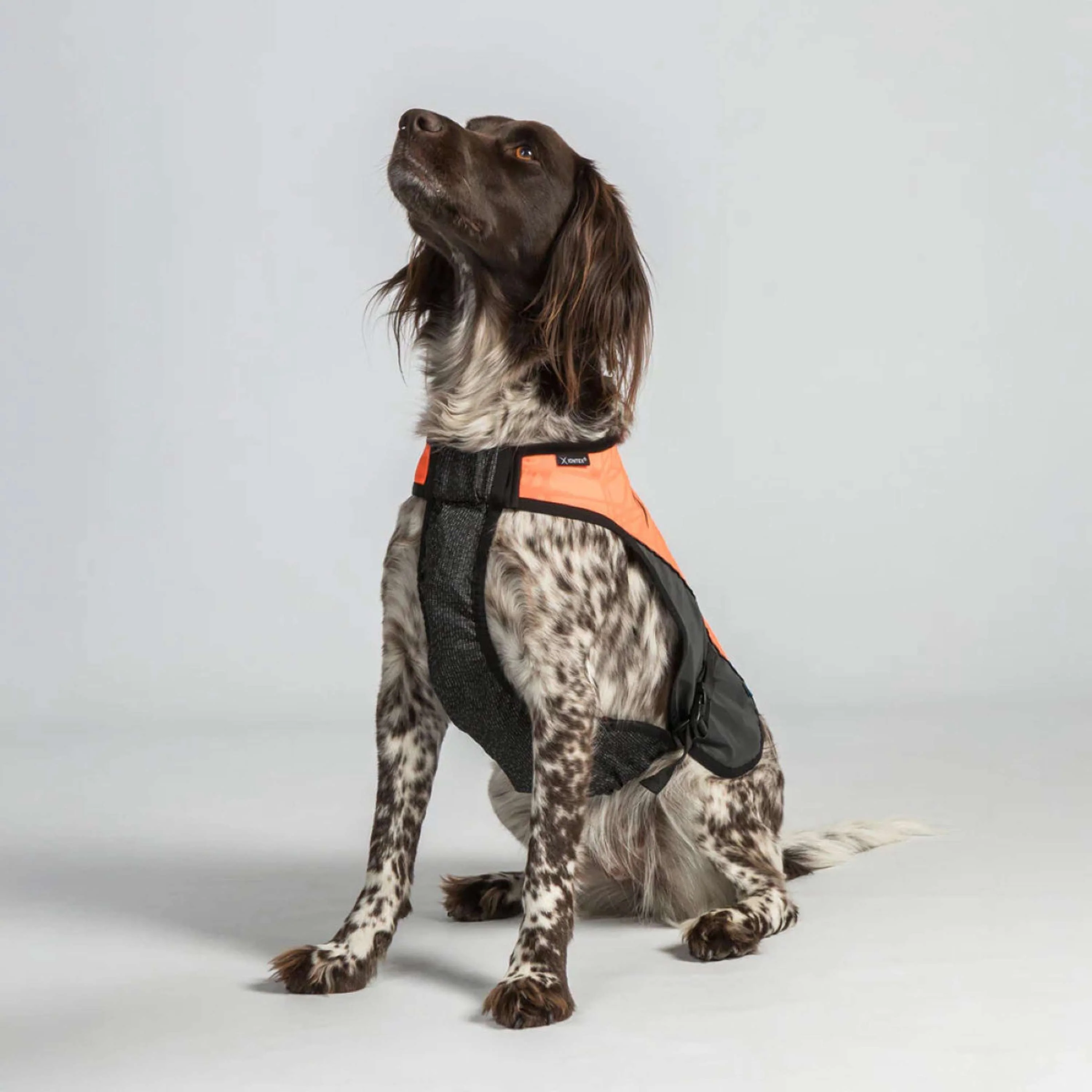 Back on Track Cappotto per Cane TRAKK Riflettente Arancia - Image 4