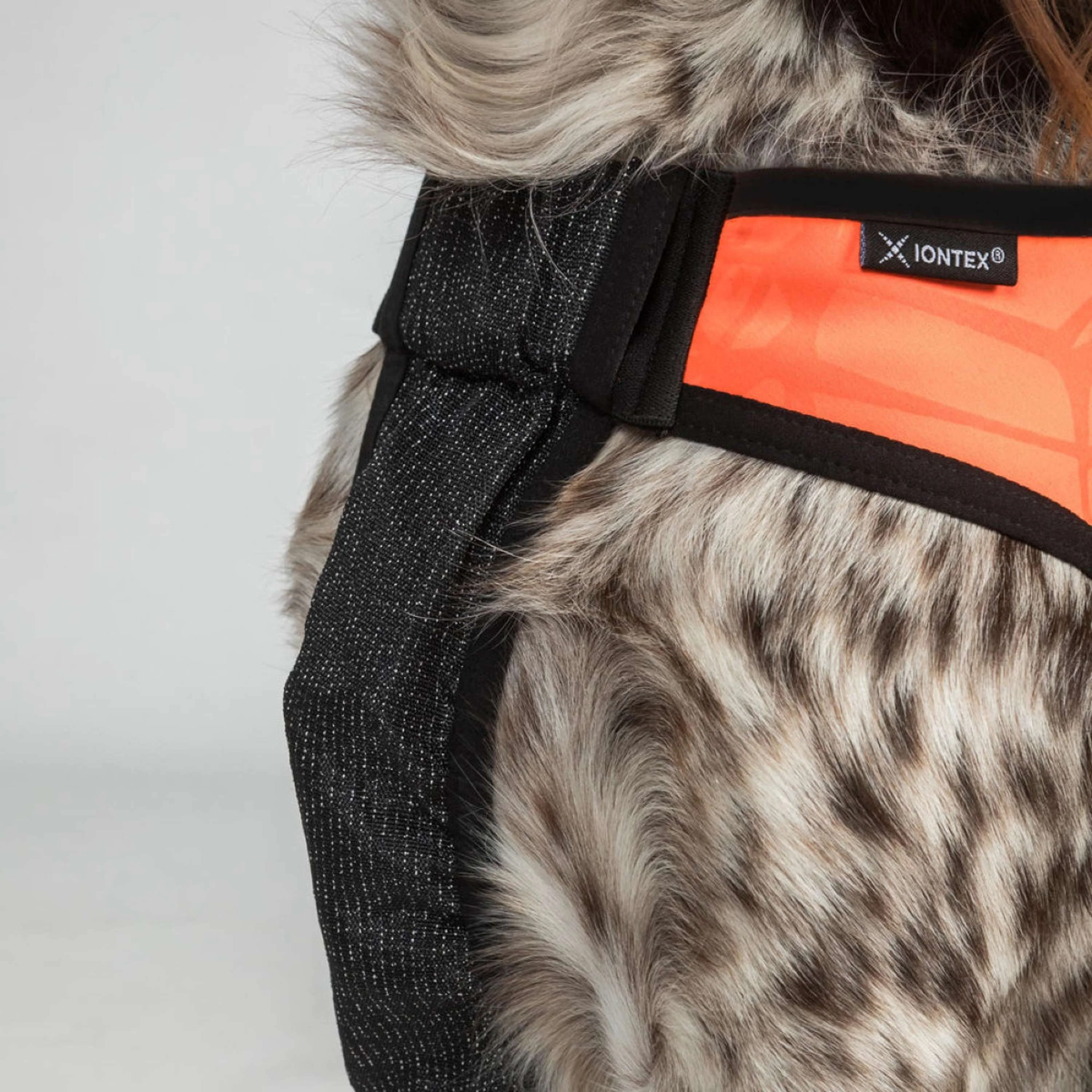 Back on Track Cappotto per Cane TRAKK Riflettente Arancia - Image 5