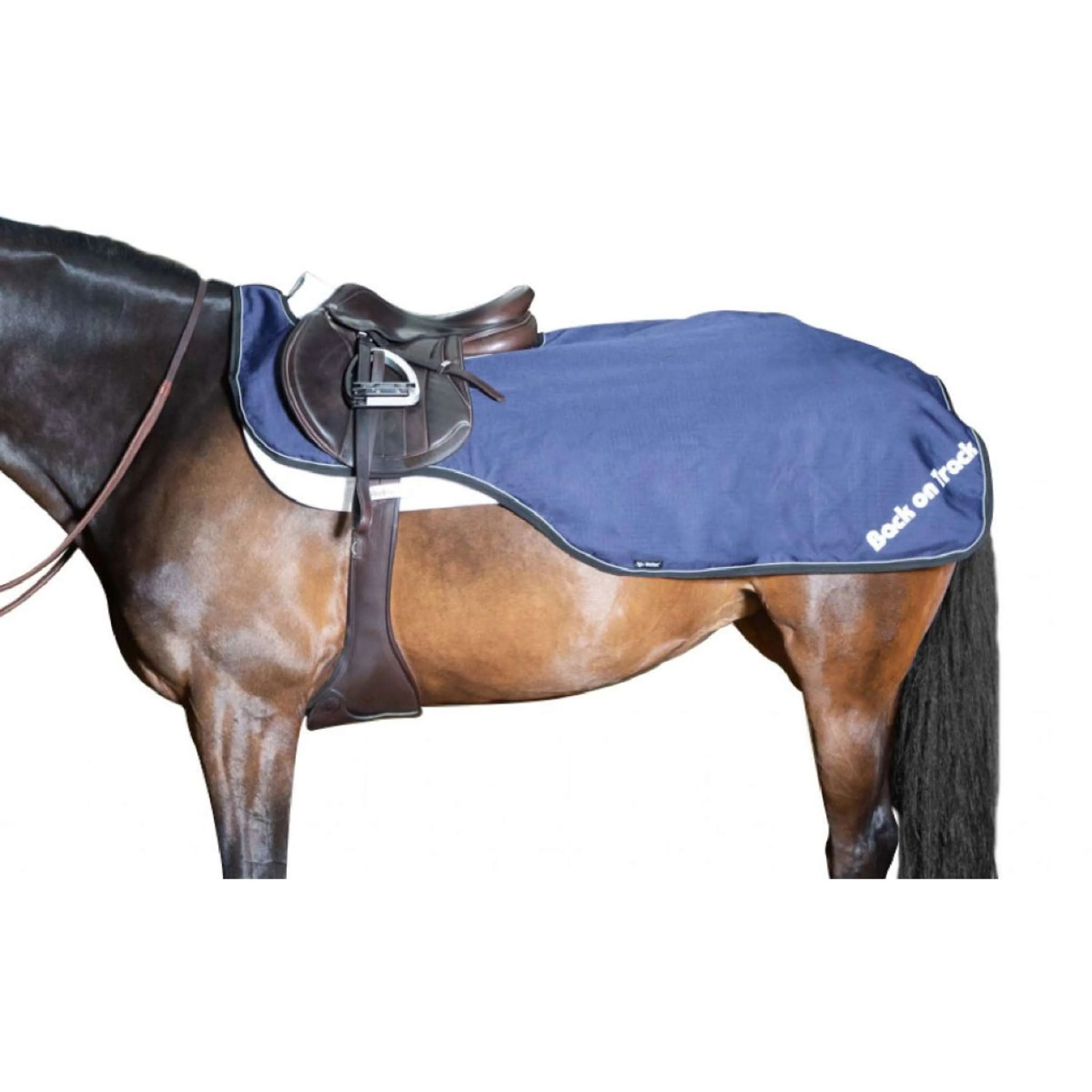 Back on Track Coperta da esercizio Sammy Blu - Image 8