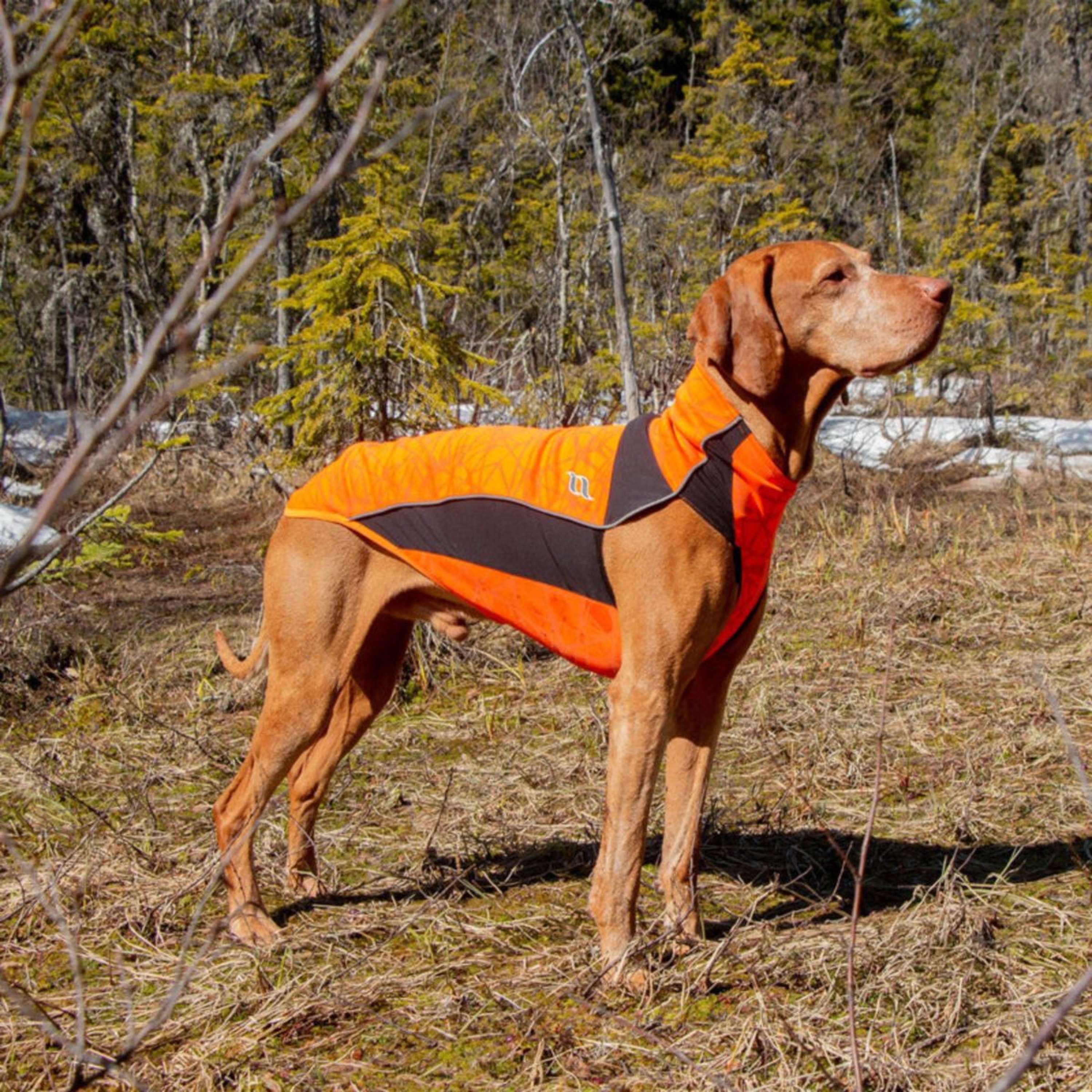 Back on Track Coperta per Cani Eddie High Visibility Jumper Arancia - Image 9