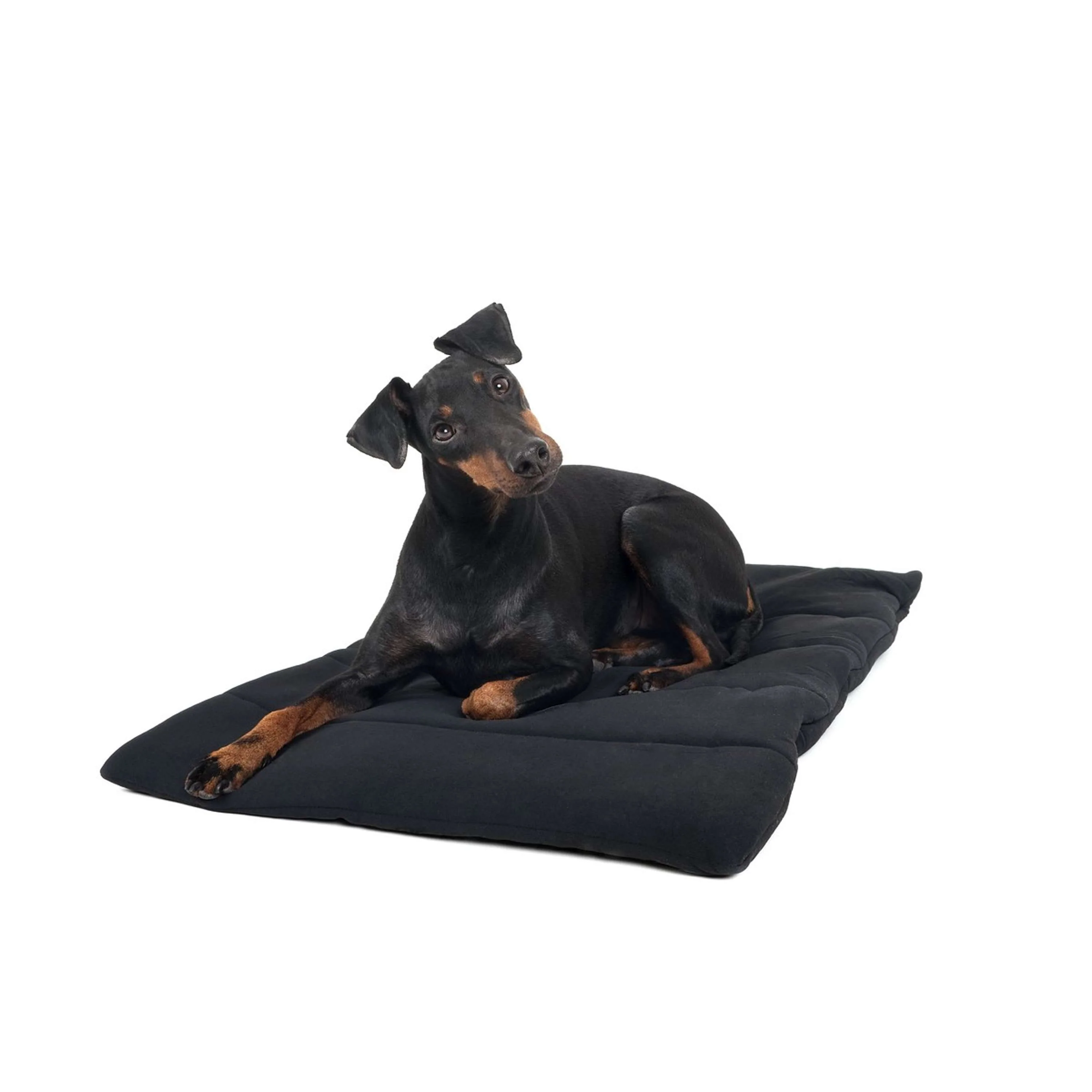 Back on Track Cuscino per Cane Nero - Image 2