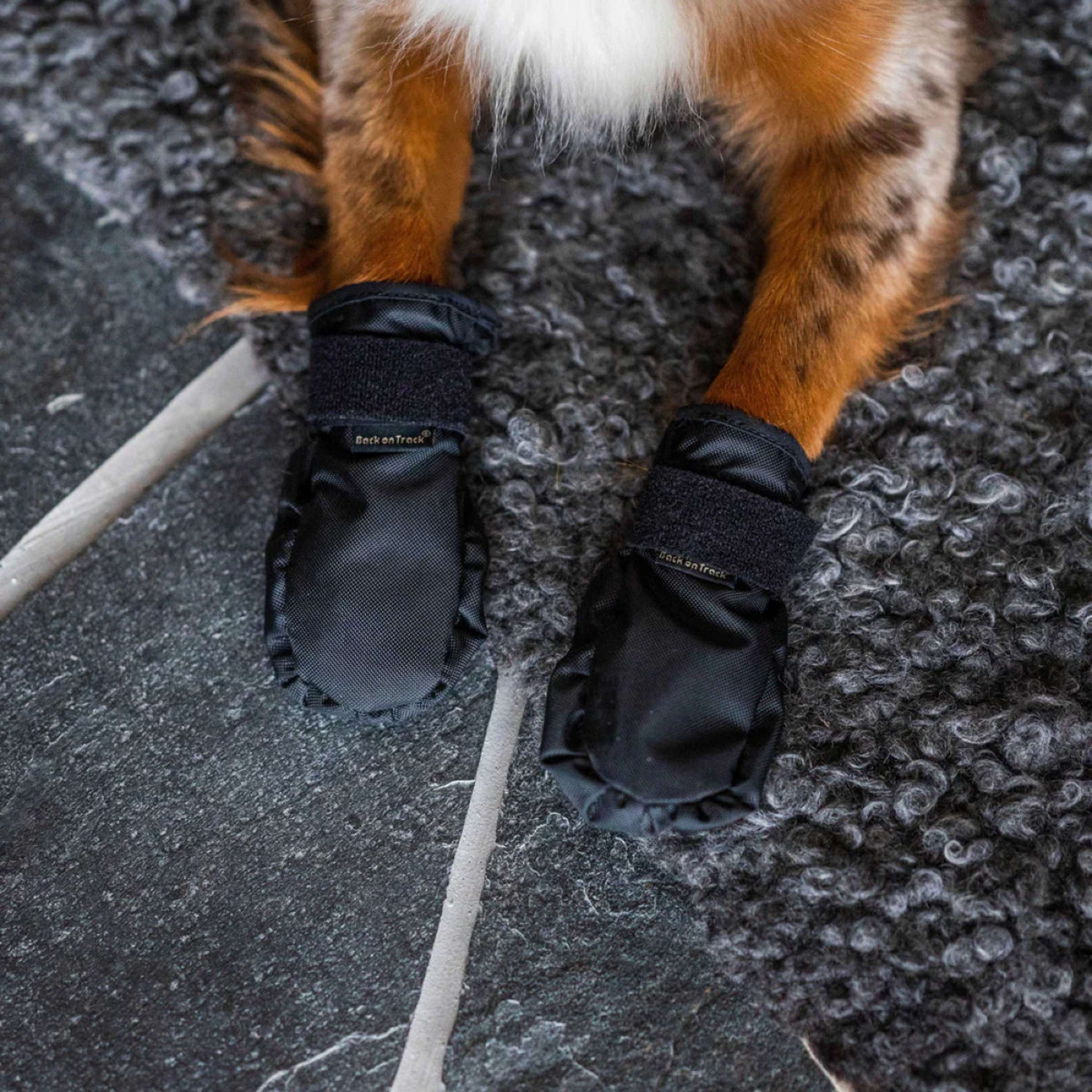 Back on Track Scarpe per Cani Koda Nero - Image 6