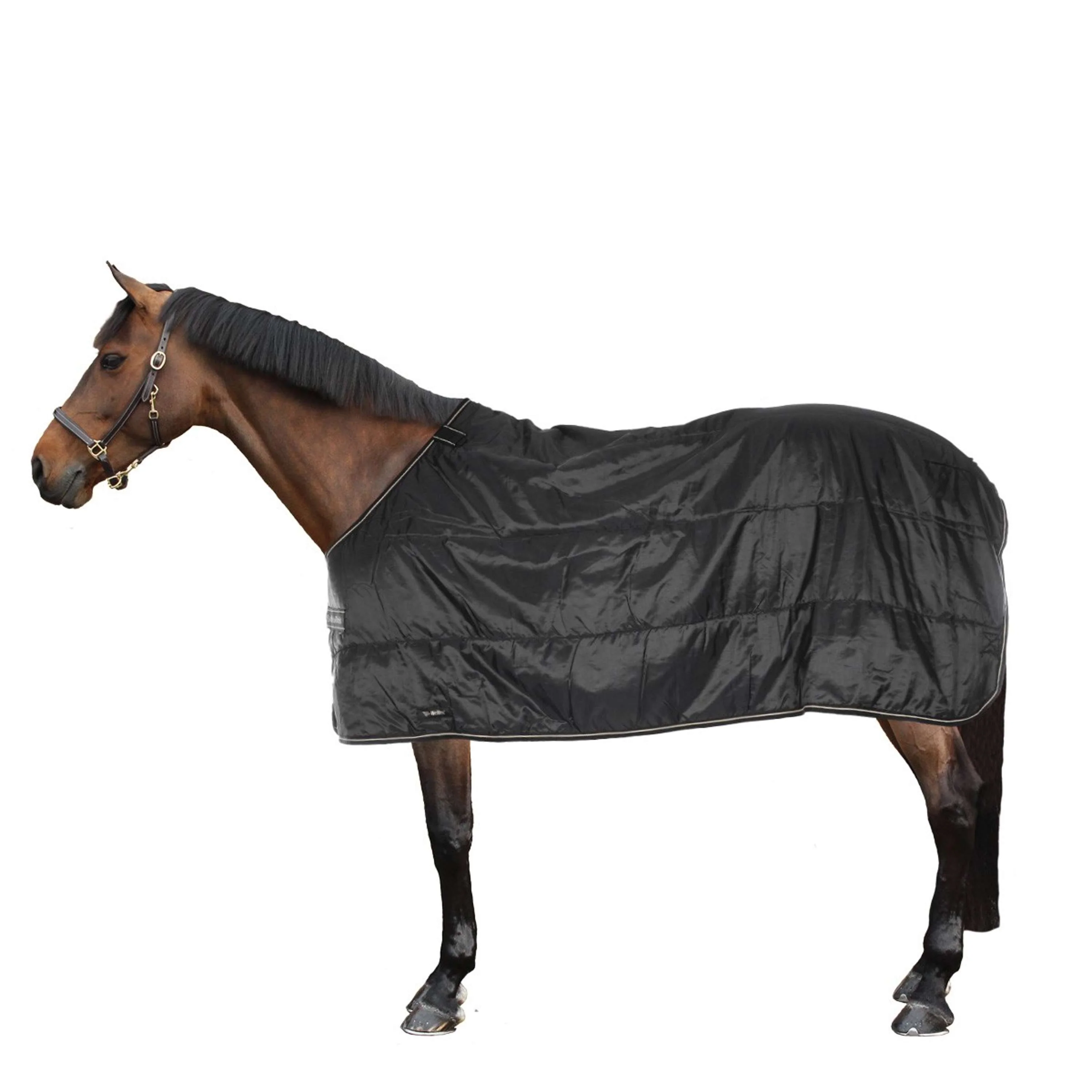Back on Track Sottocoperta Rhyolite Insulated Liner 200g Nero - Image 2