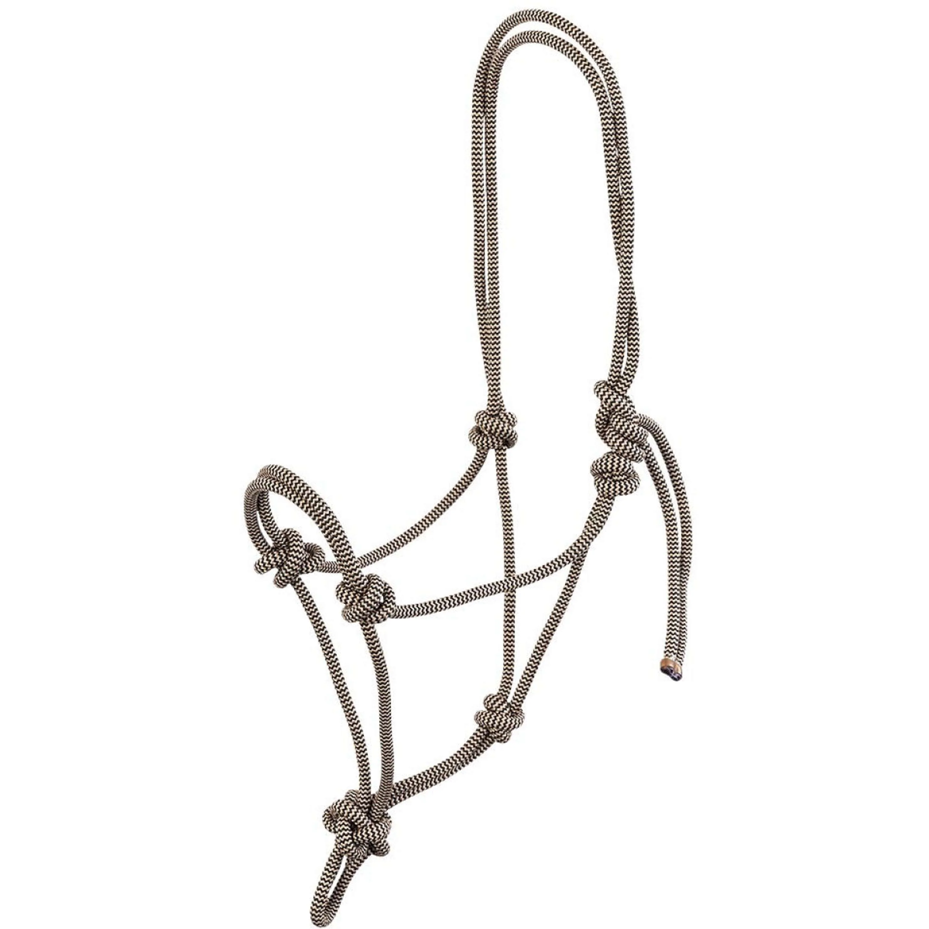 BR Capestro in Corda Klara Safari