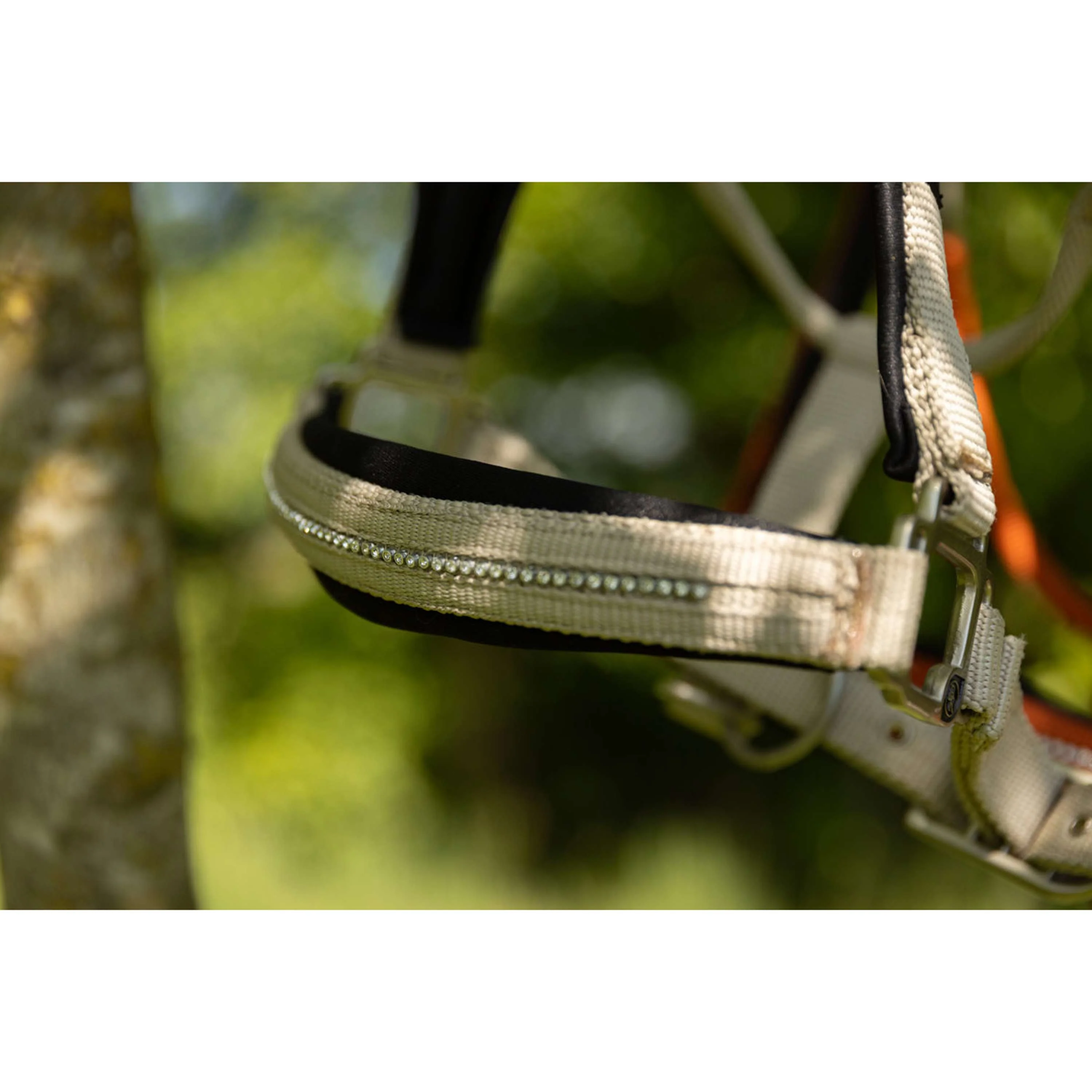 BR Cavezza Kimberly Neoprene Safari - Image 2