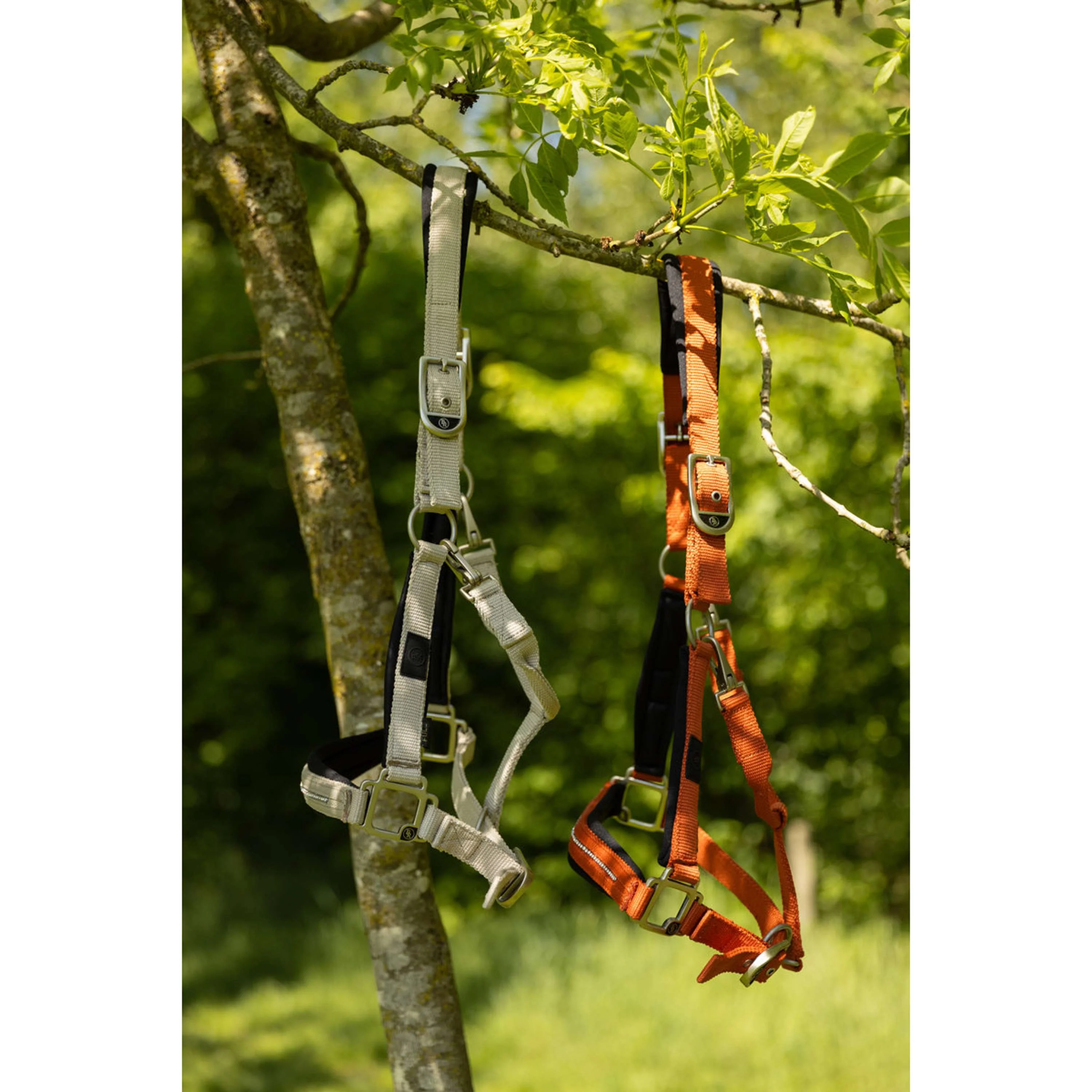 BR Cavezza Kimberly Neoprene Safari - Image 3