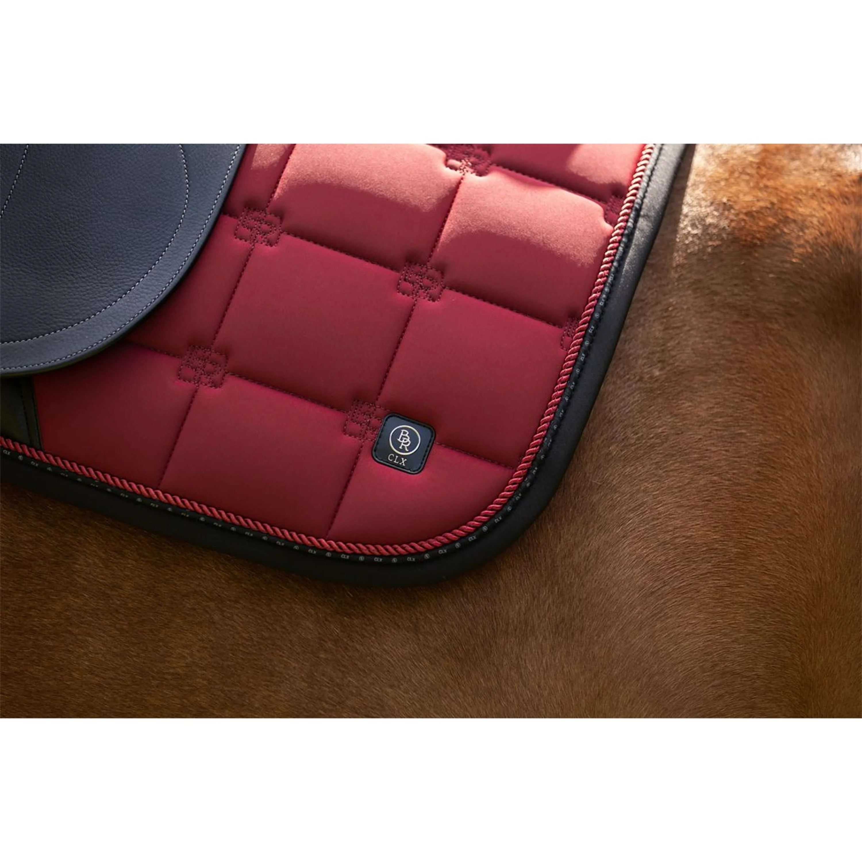 BR Sottosella CLX Dressage Cabernet - Image 8