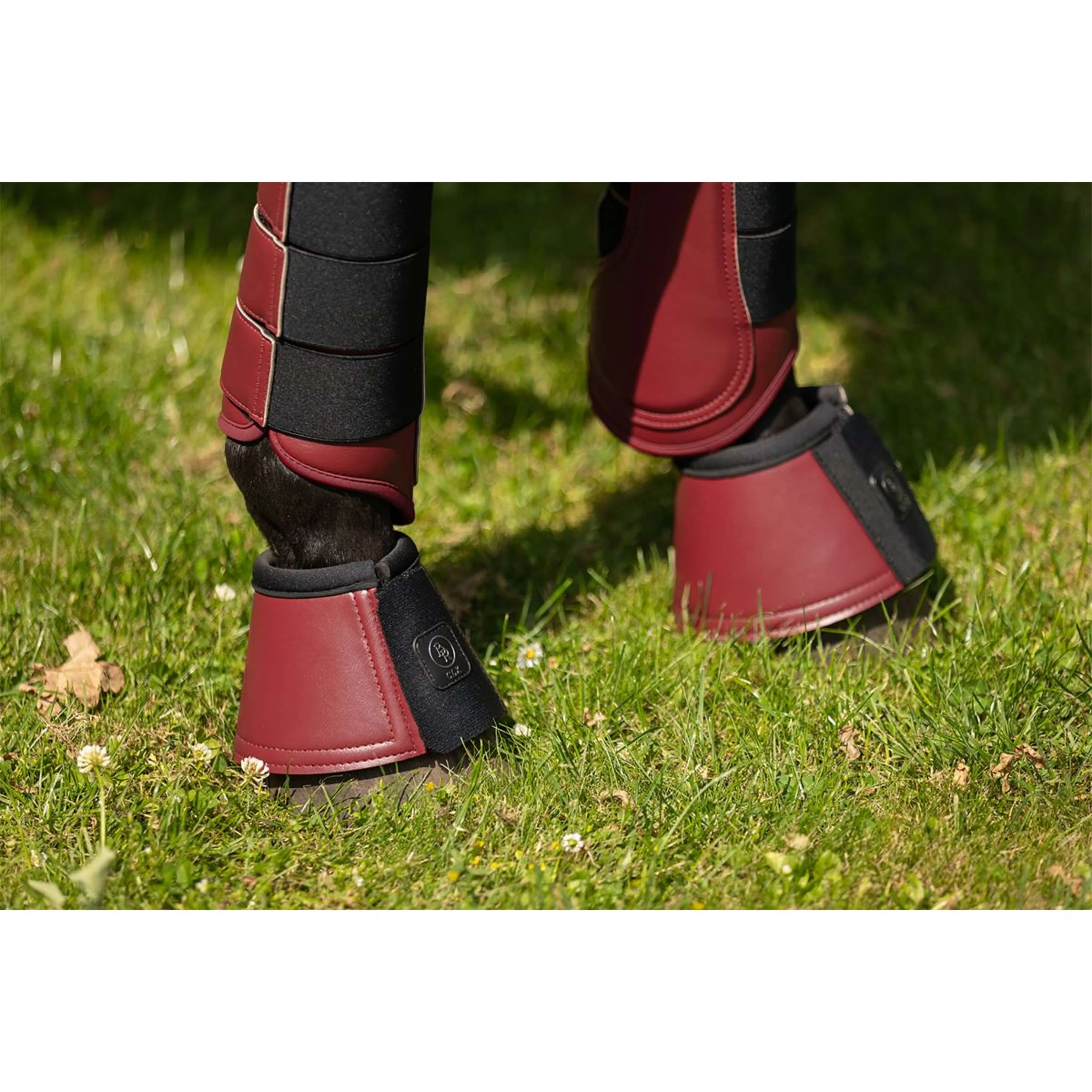 BR Stivaletti a Campana CLX Cabernet - Image 2