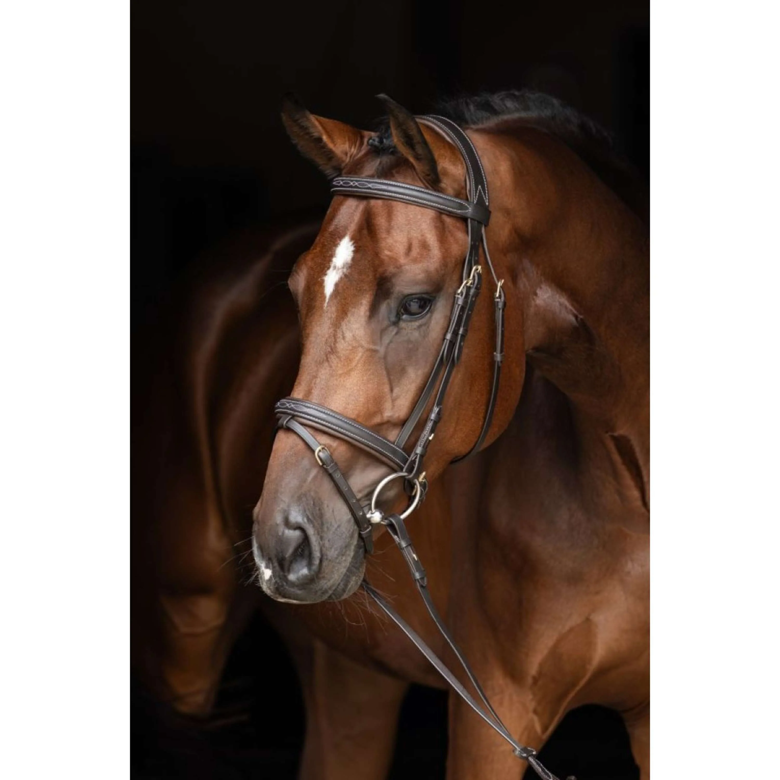 Briglia classica in pelle Kerbl Marrone classico - Image 2