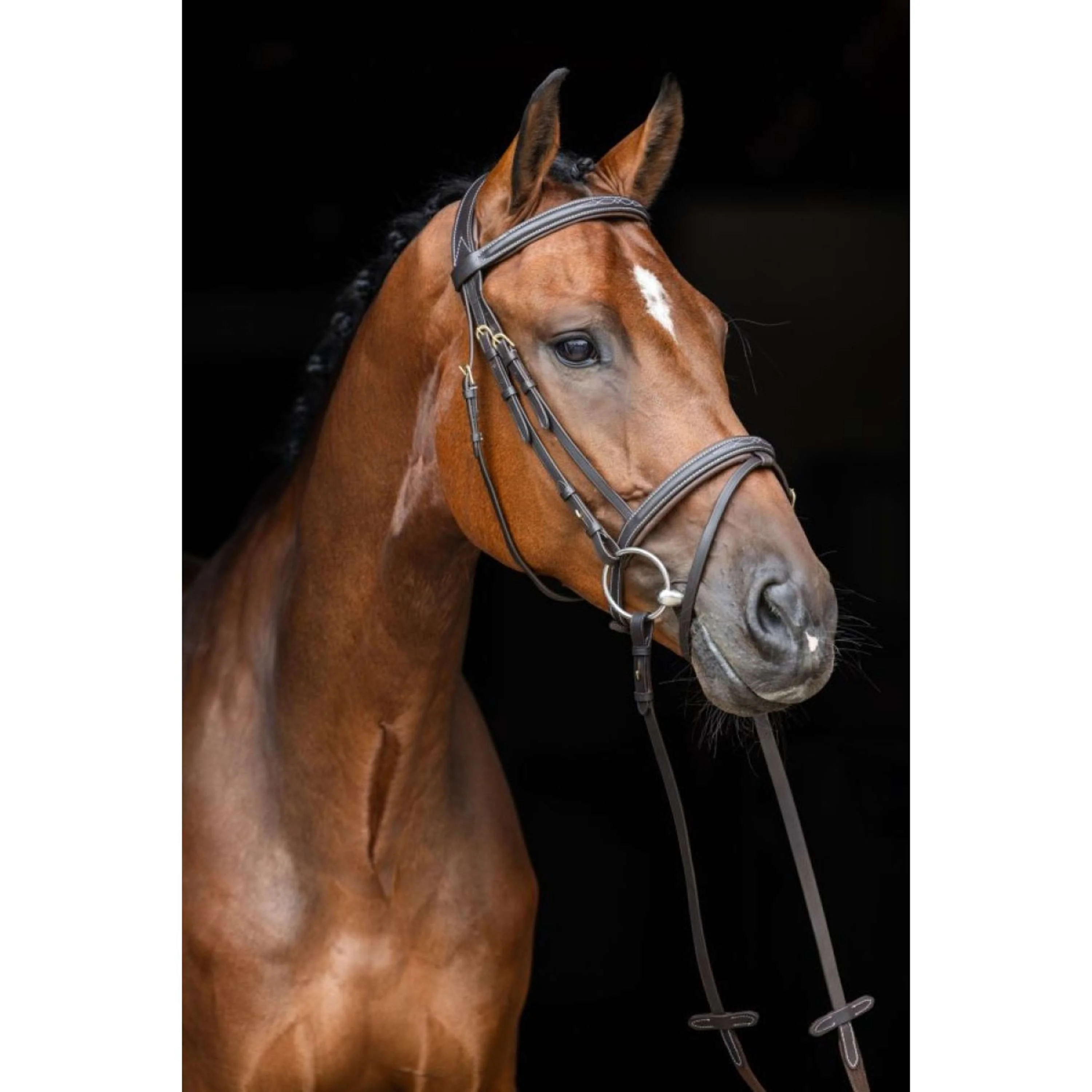 Briglia classica in pelle Kerbl Marrone classico - Image 3
