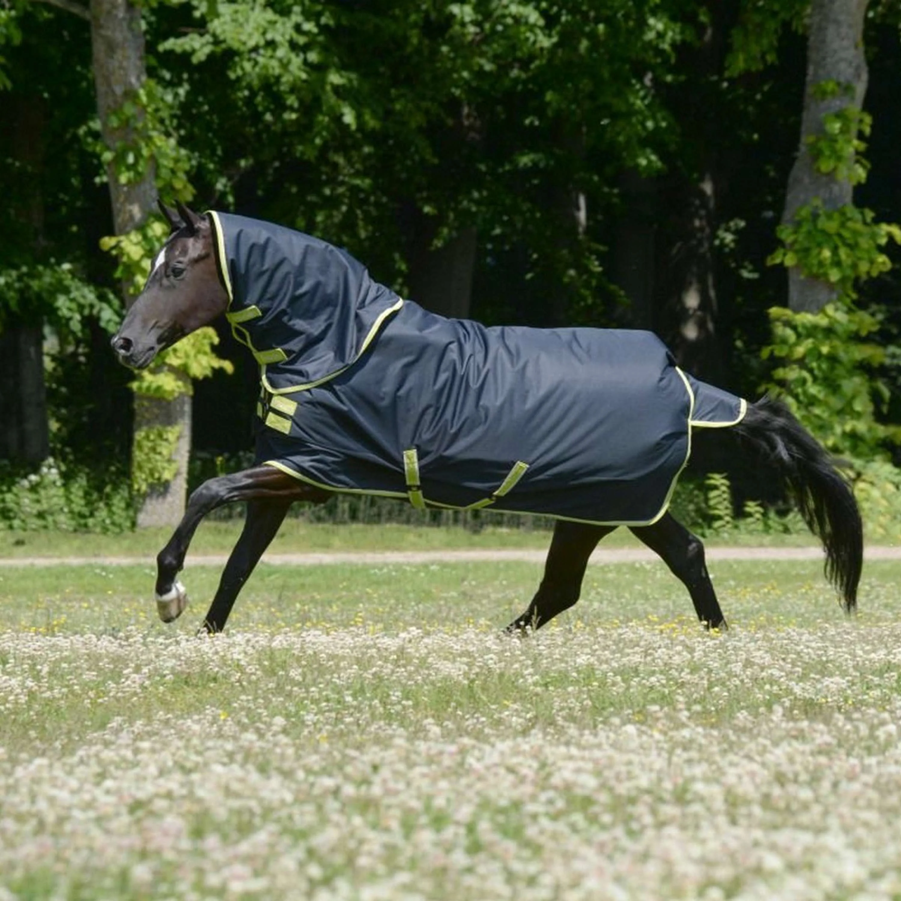 Bucas Oasis Turnout Neck 100g Dark Grey/Lime