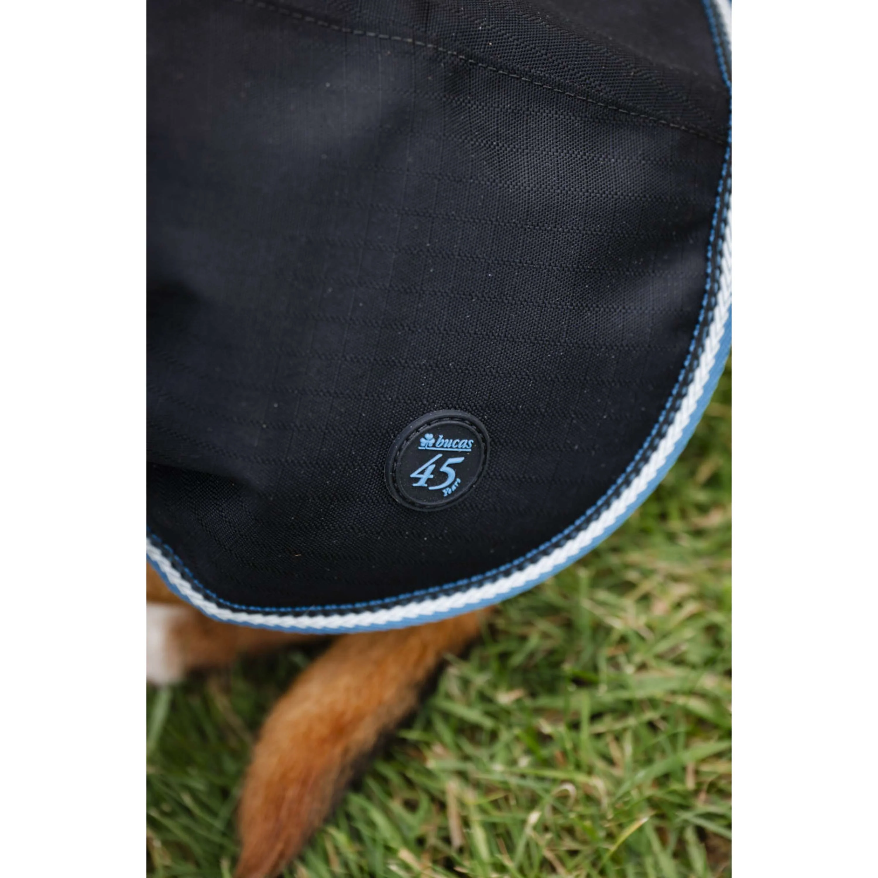 Bucas Anniversary Dog Rug Sapphire - Image 11