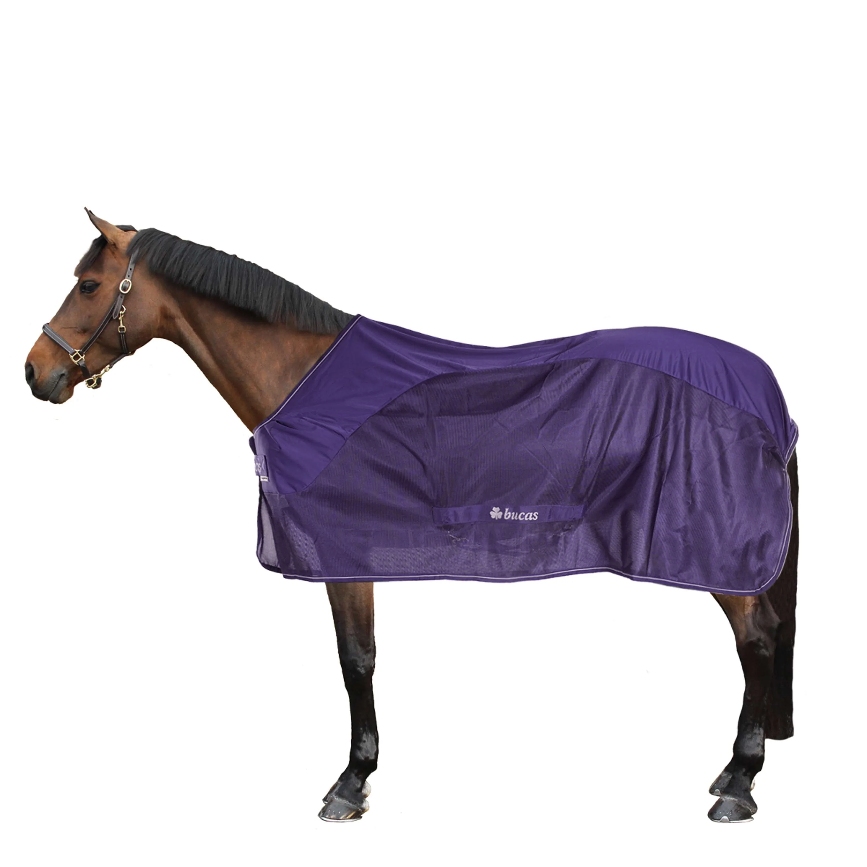 Bucas Competition Cooler Navy - Image 2