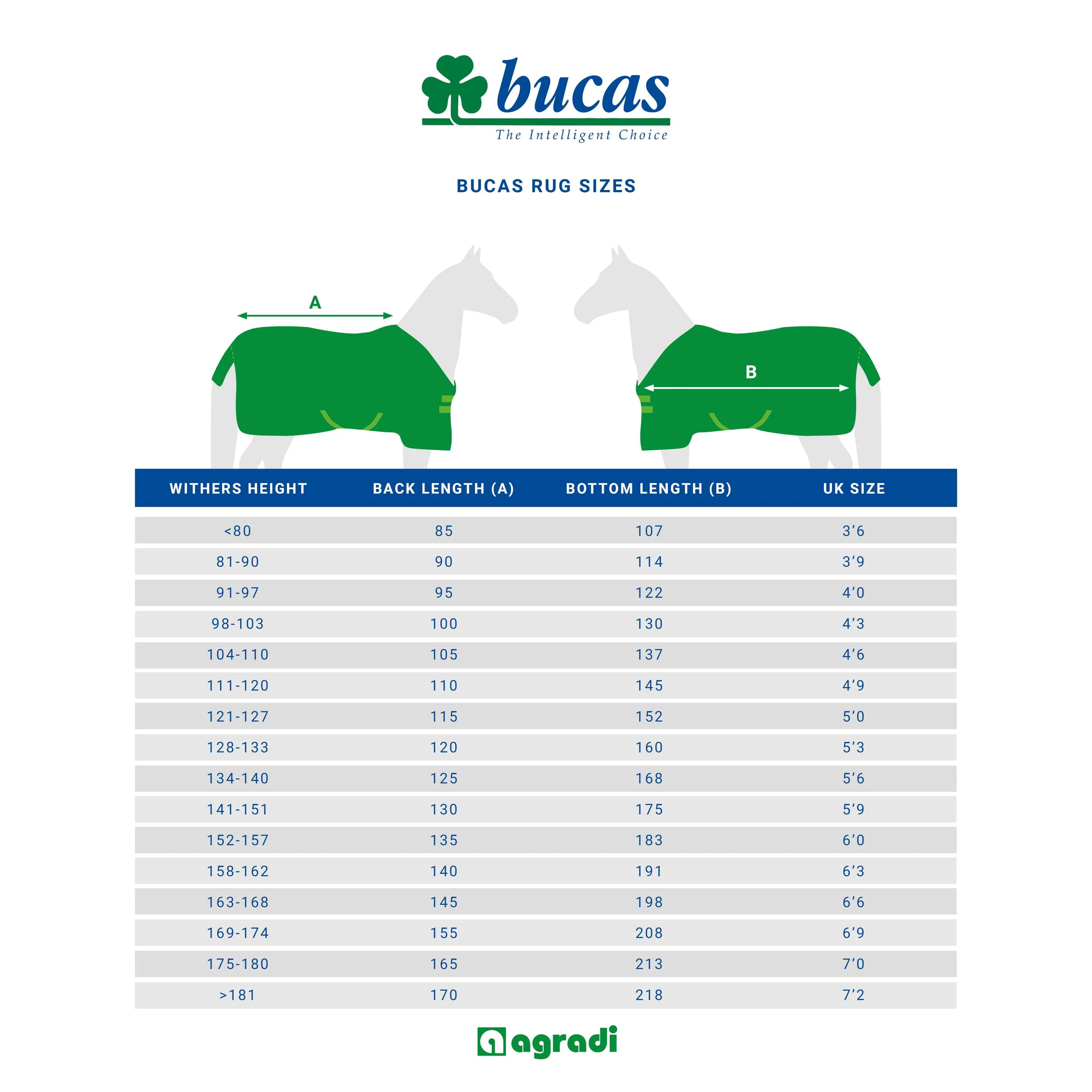 Bucas Coperta in Pile Show-Line 400 Borgogna - Image 2