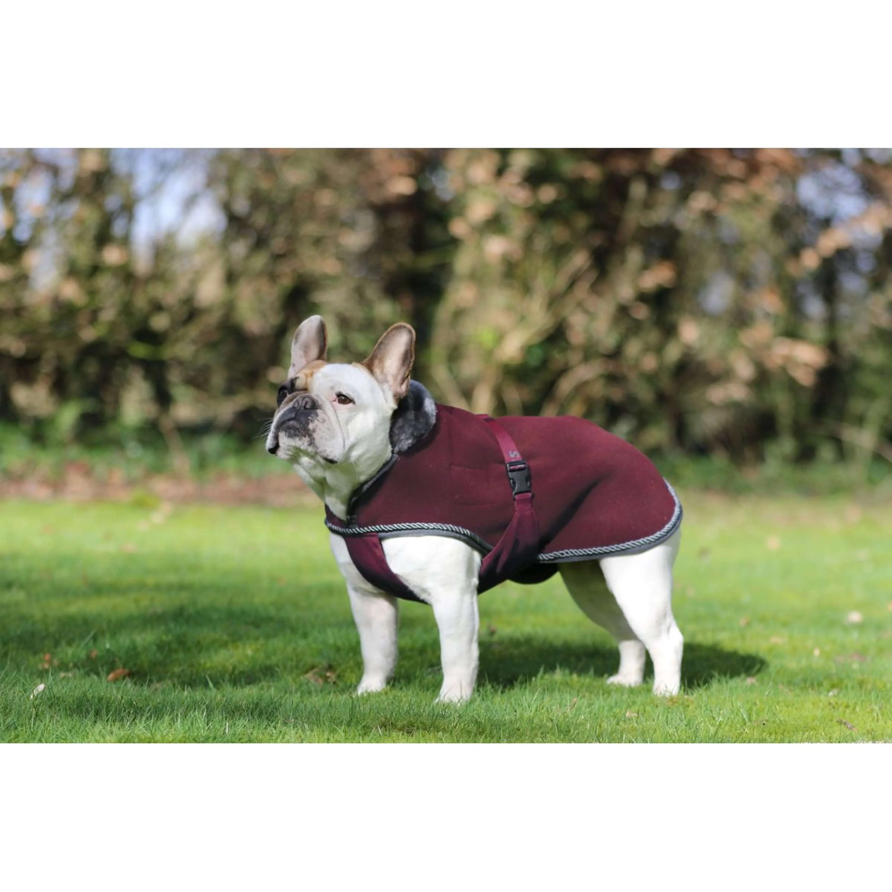 Bucas Coperta per Cani Show-Line Borgogna/Grigio - Image 2