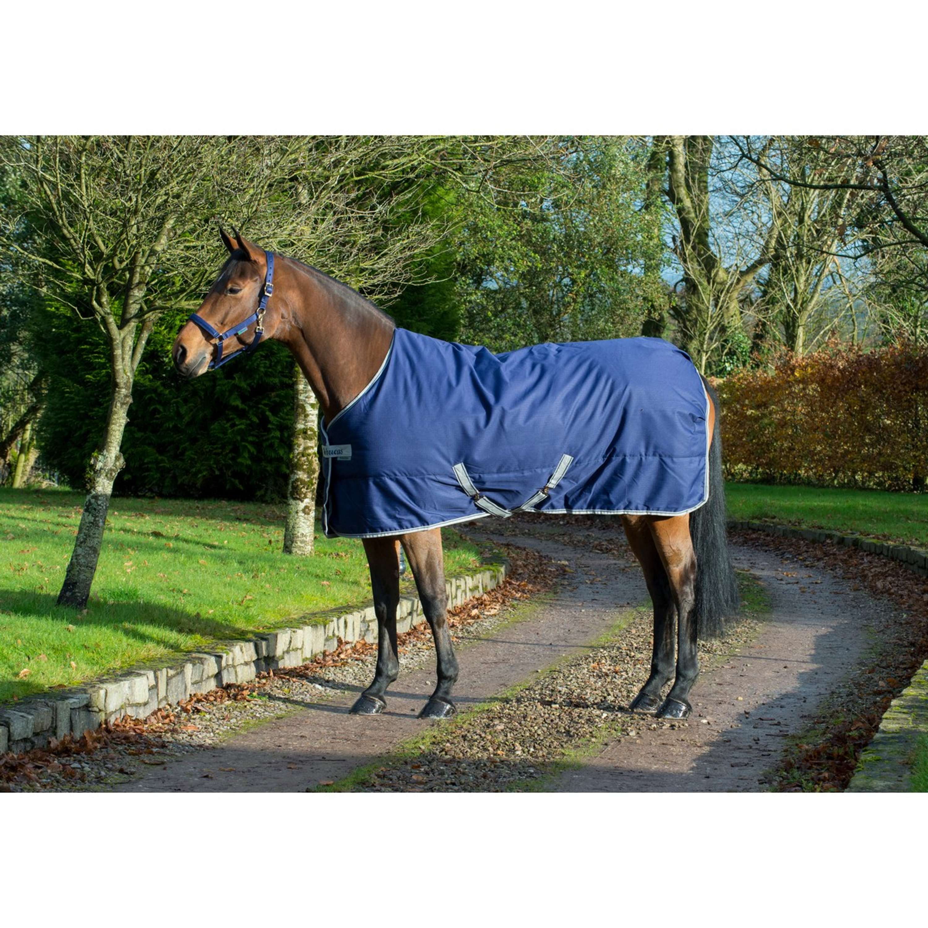 Bucas Freedom Coperta da Scuderia 150g Navy - Image 9