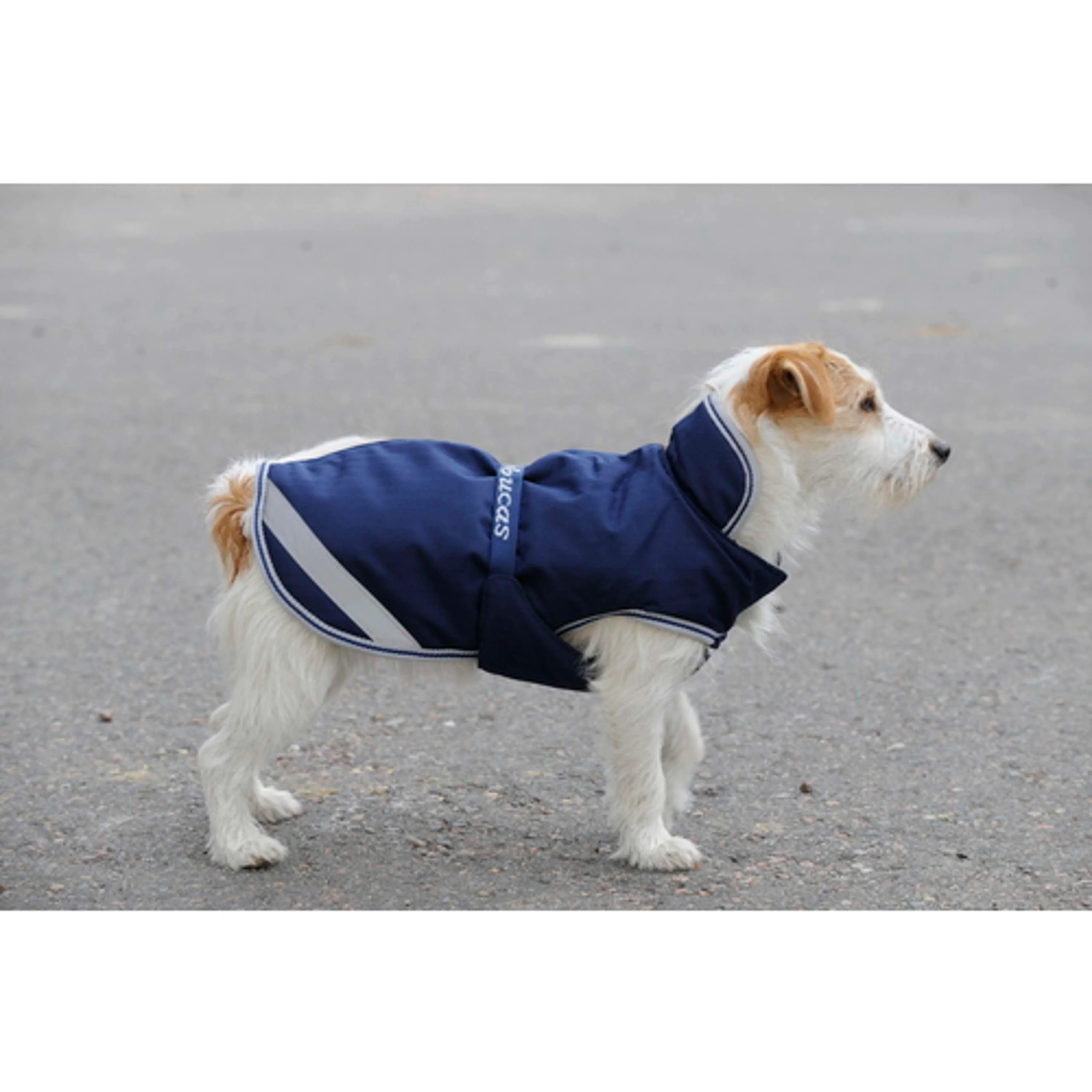 Bucas Freedom Dog Rug 300g Navy - Image 11