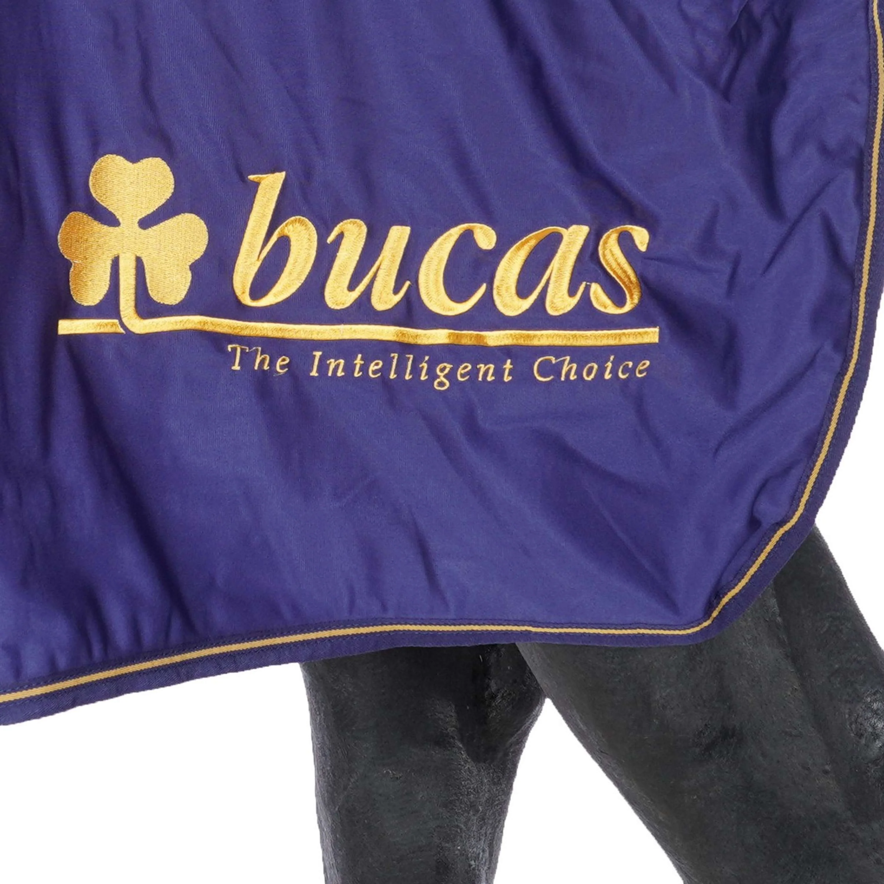 Bucas Price Cooler Logo Bucas blu scuro/oro - Image 7