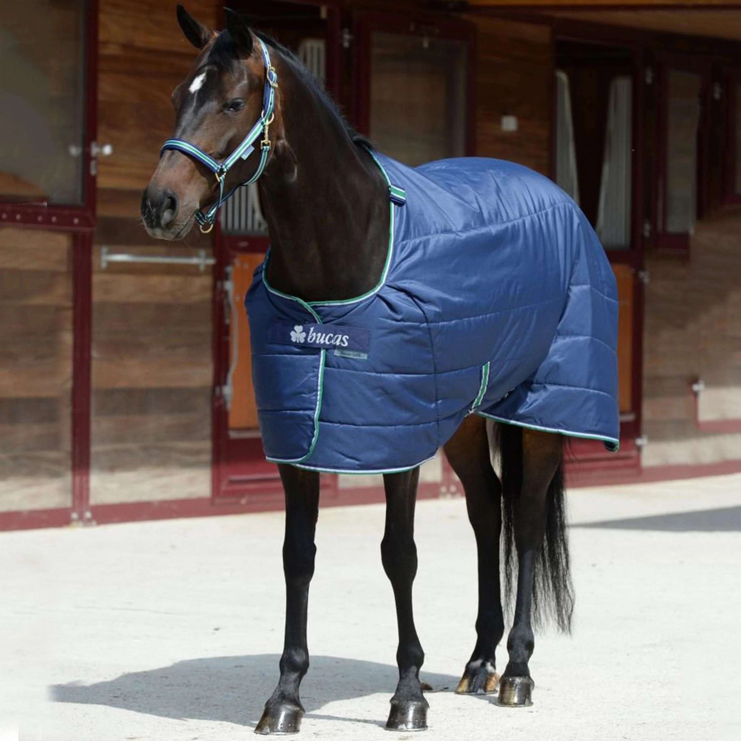 Bucas Quilt 50g SF Navy - Image 10