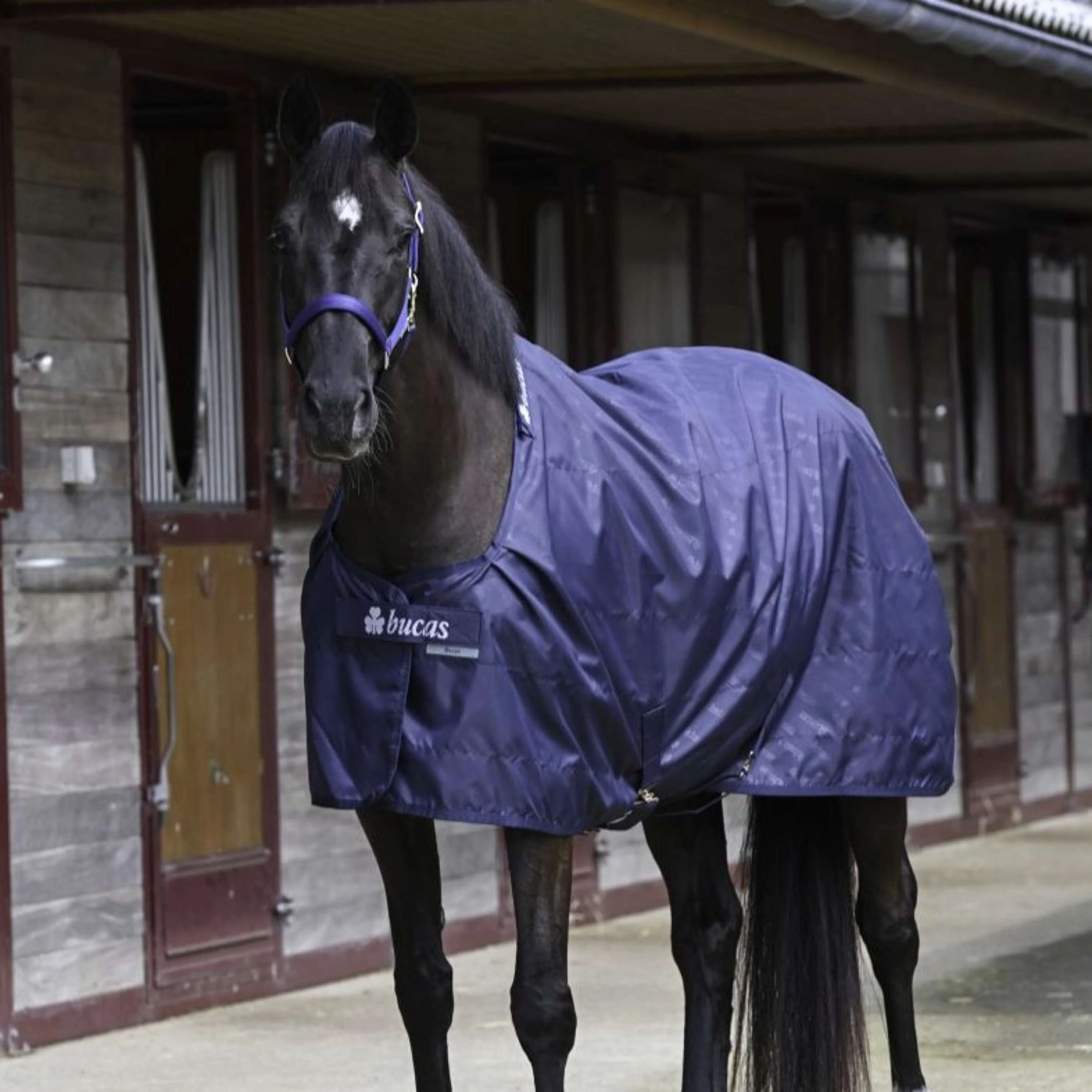 Bucas Stable Sheet 0g Navy/Navy